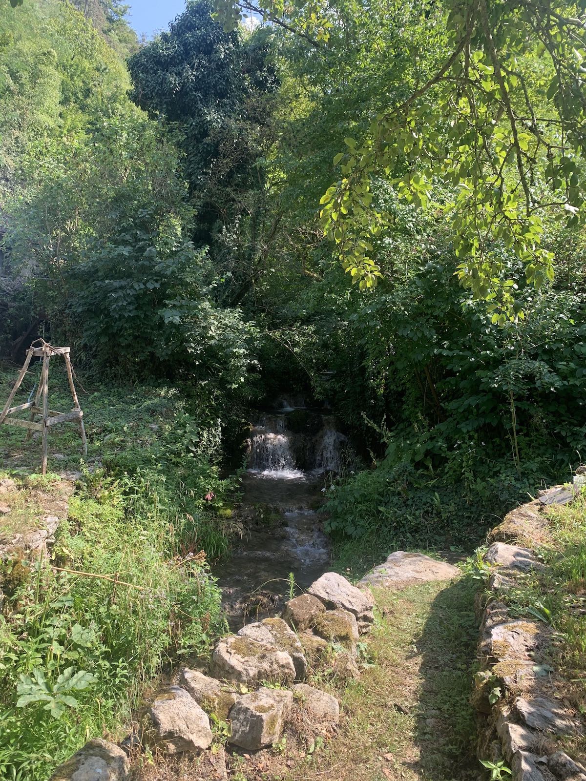 Izvorul Morii de la Borz - Valea Morii - foto: Victor Ursu - 08/2021