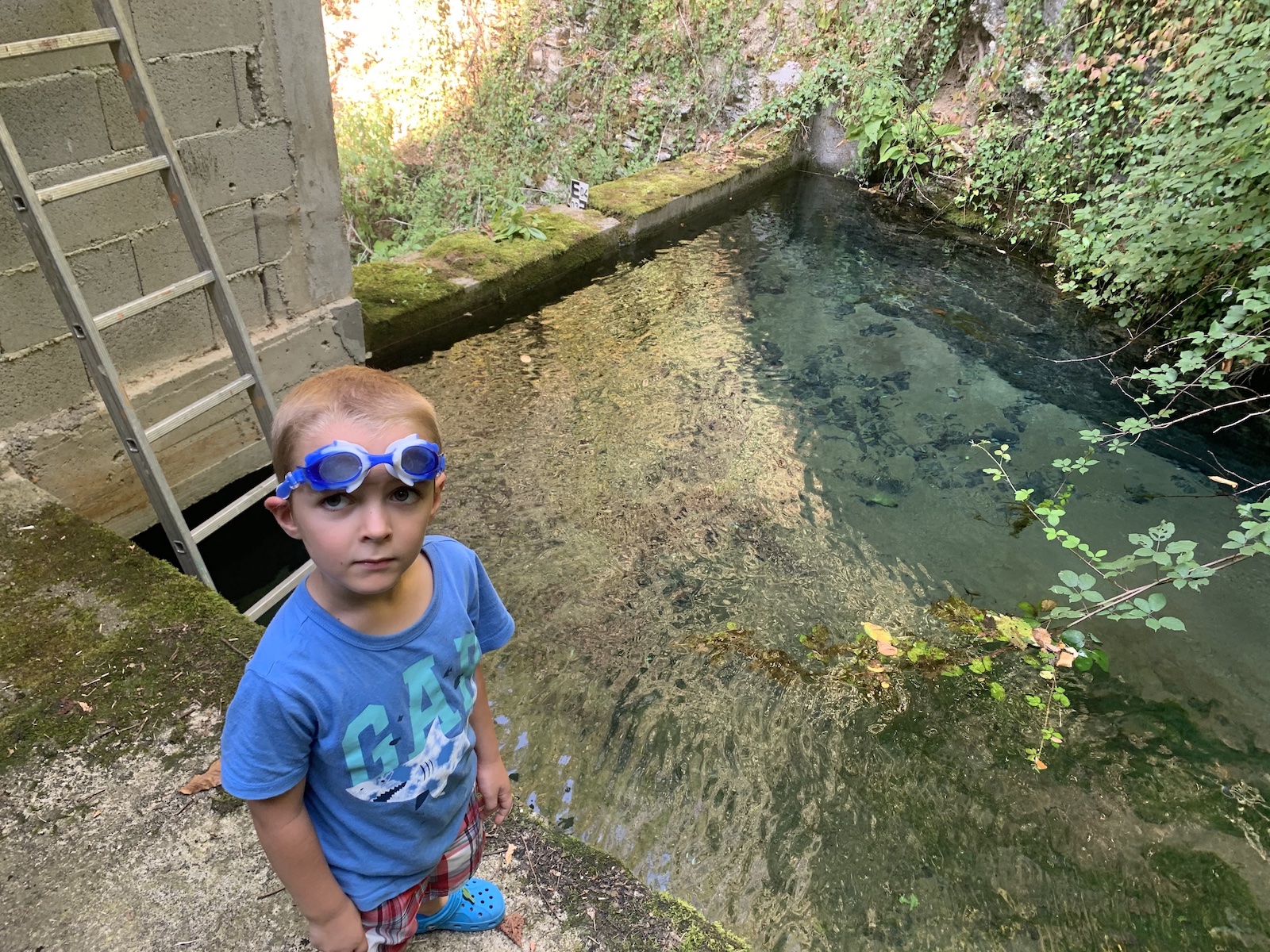 Bazinul de captare al Izvorului Morii de la Borz - - foto: Victor Ursu - 08/2021