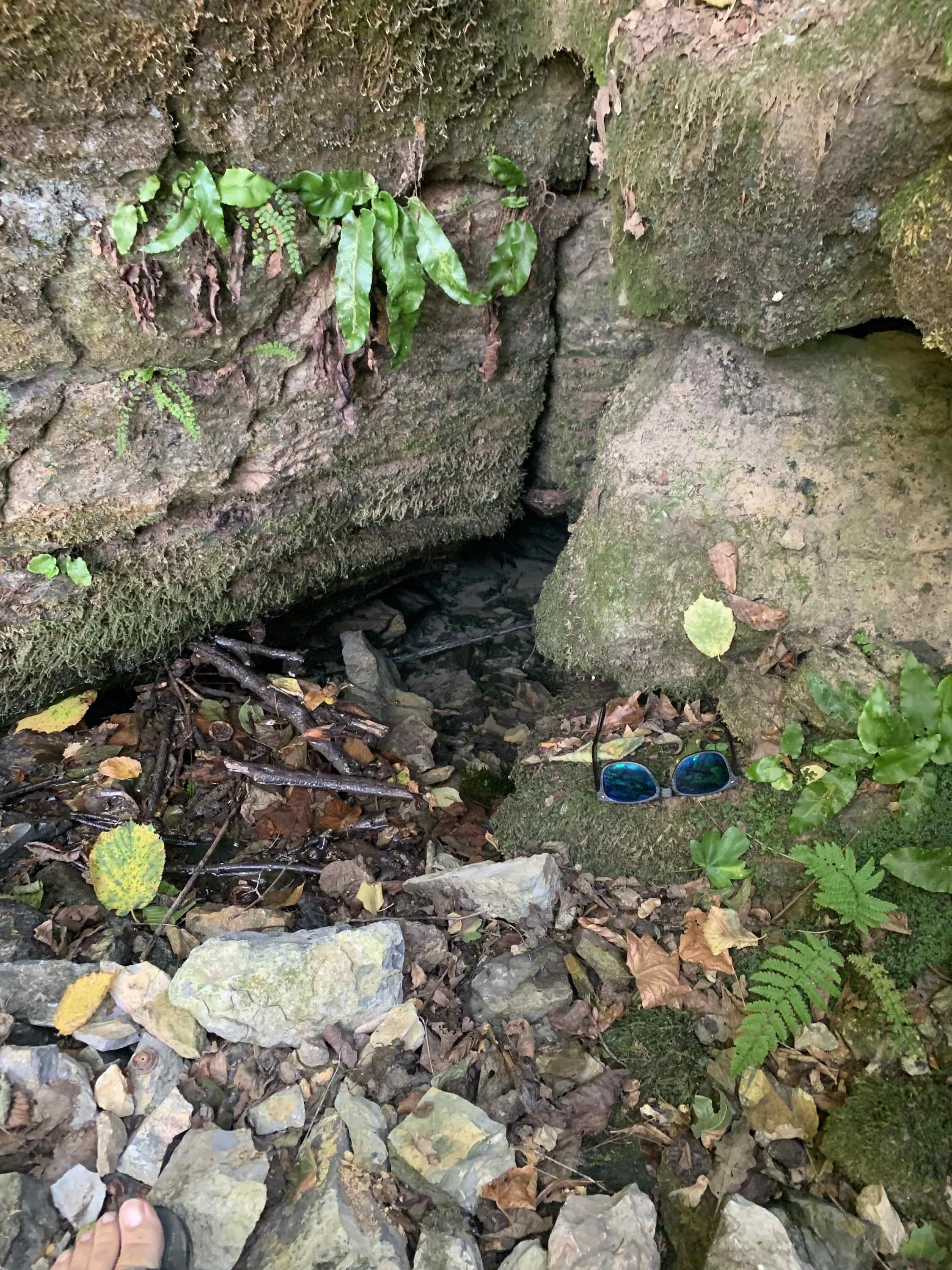 Izvorul Morii de la Borz - Locul unde ar trebui derocat si scufundat - foto: Victor Ursu - 08/2021