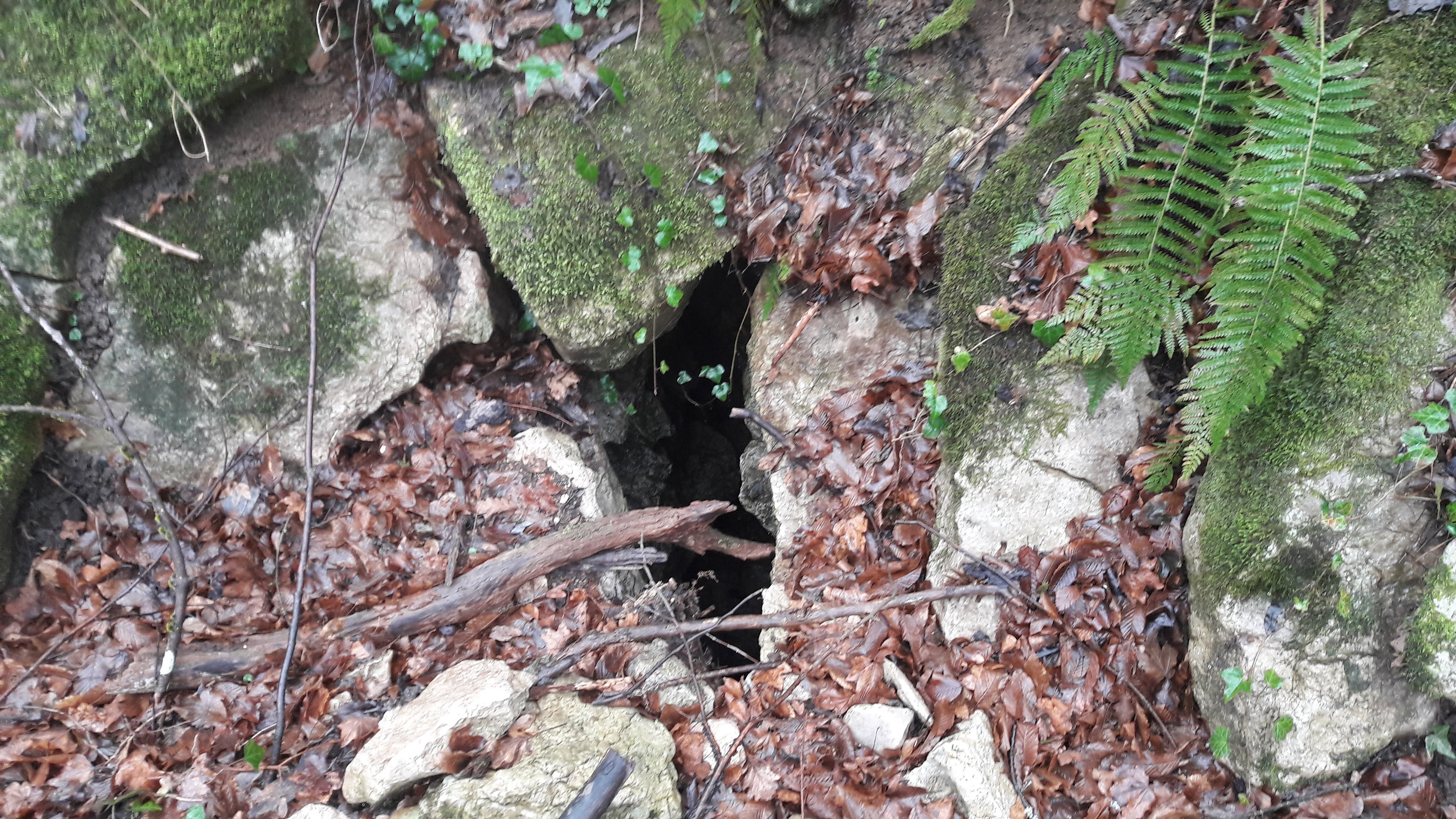 Avenul Raicovacia - Image 4