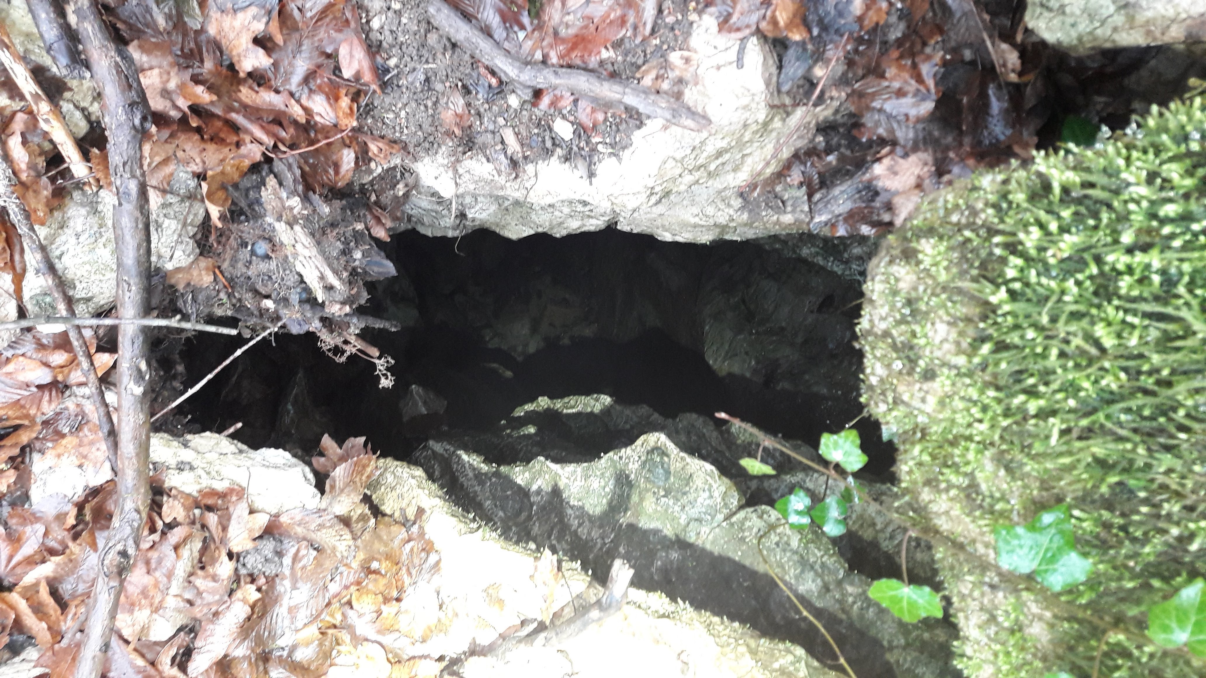 Avenul Raicovacia - Image 3