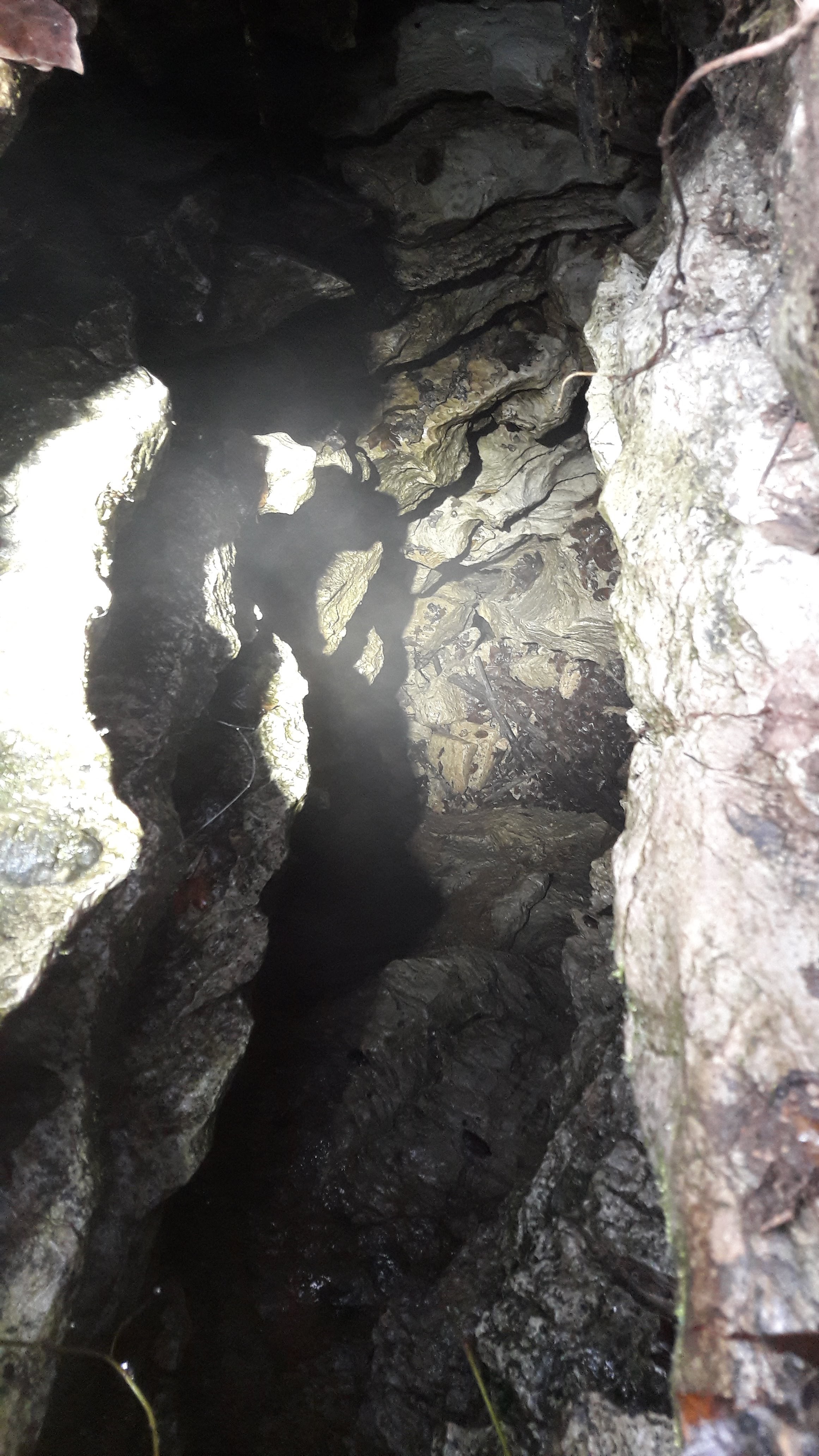 Avenul Raicovacia - Image 2