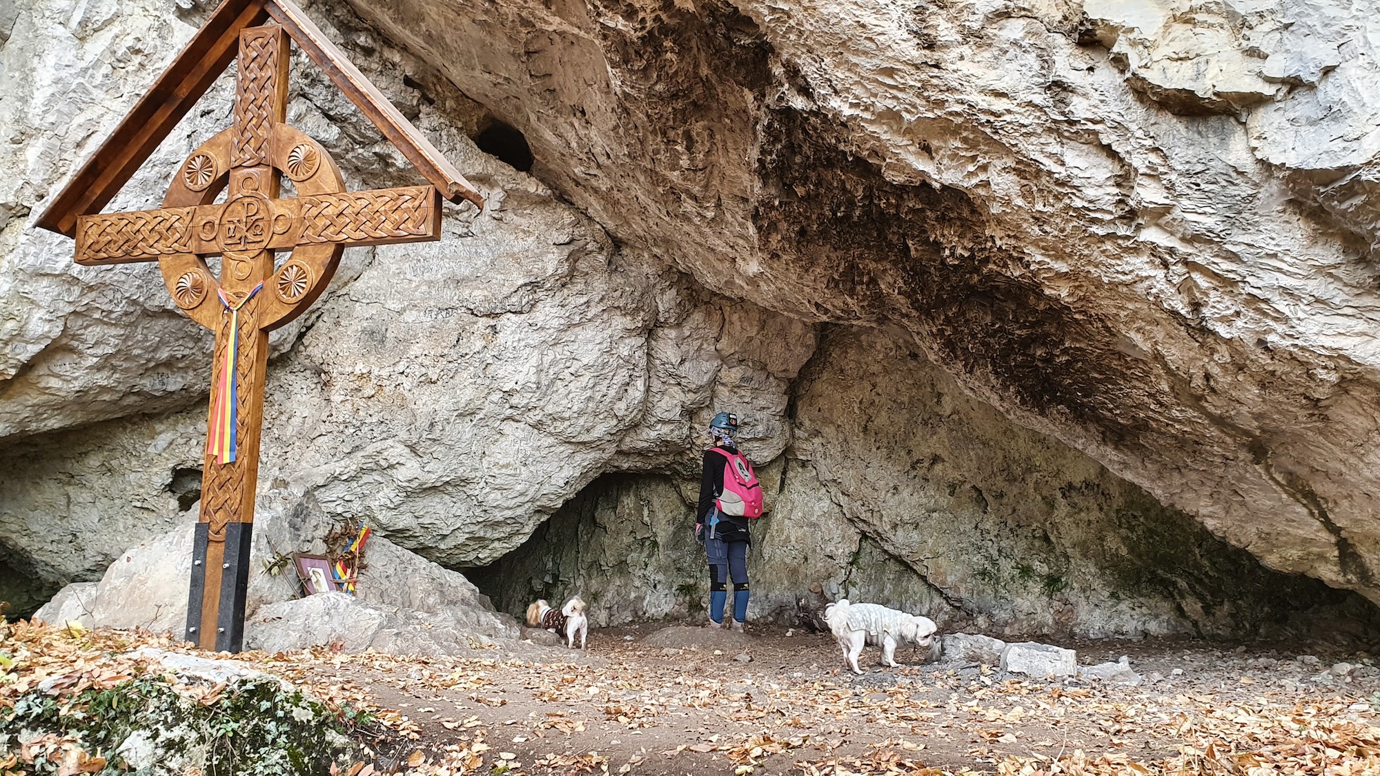 Intrare foto G. Dragomir