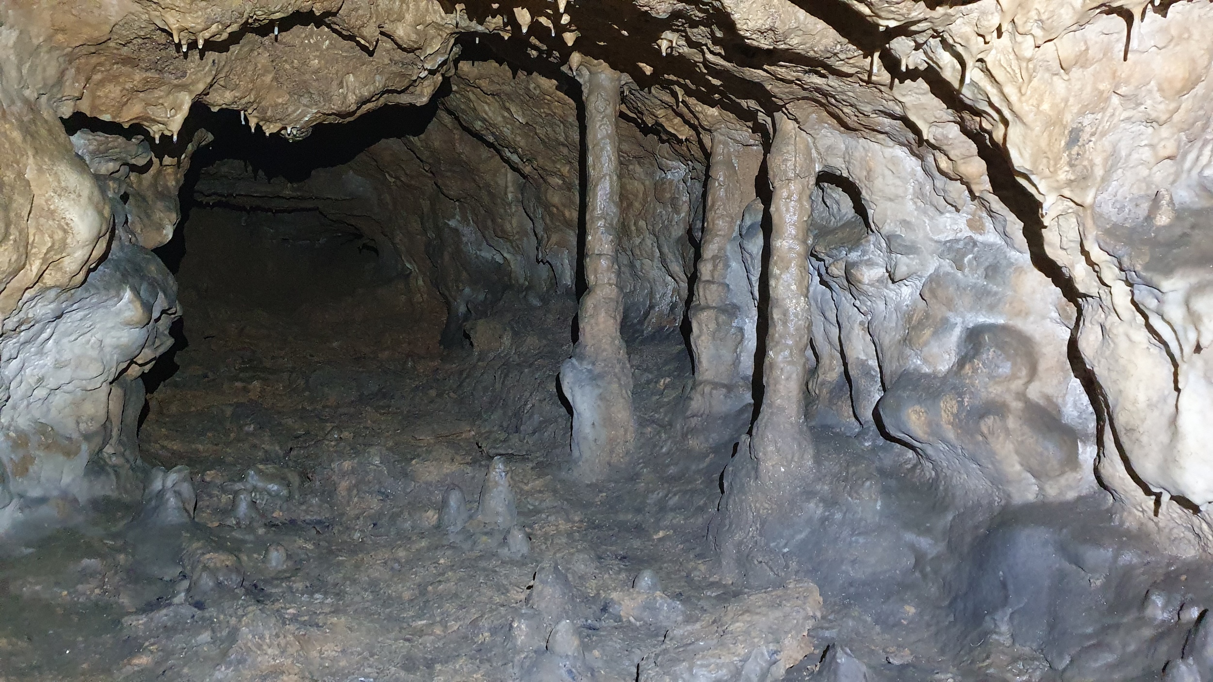 Din Pestera foto G. Dragomir