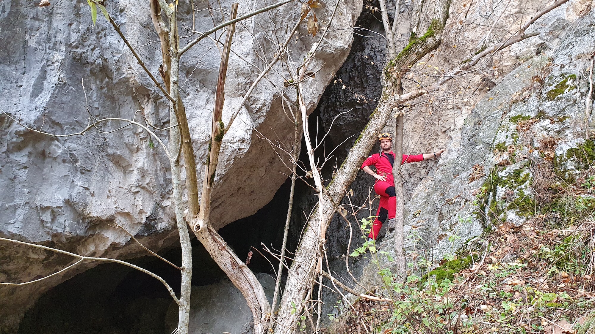 Intrare foto G. Dragomir