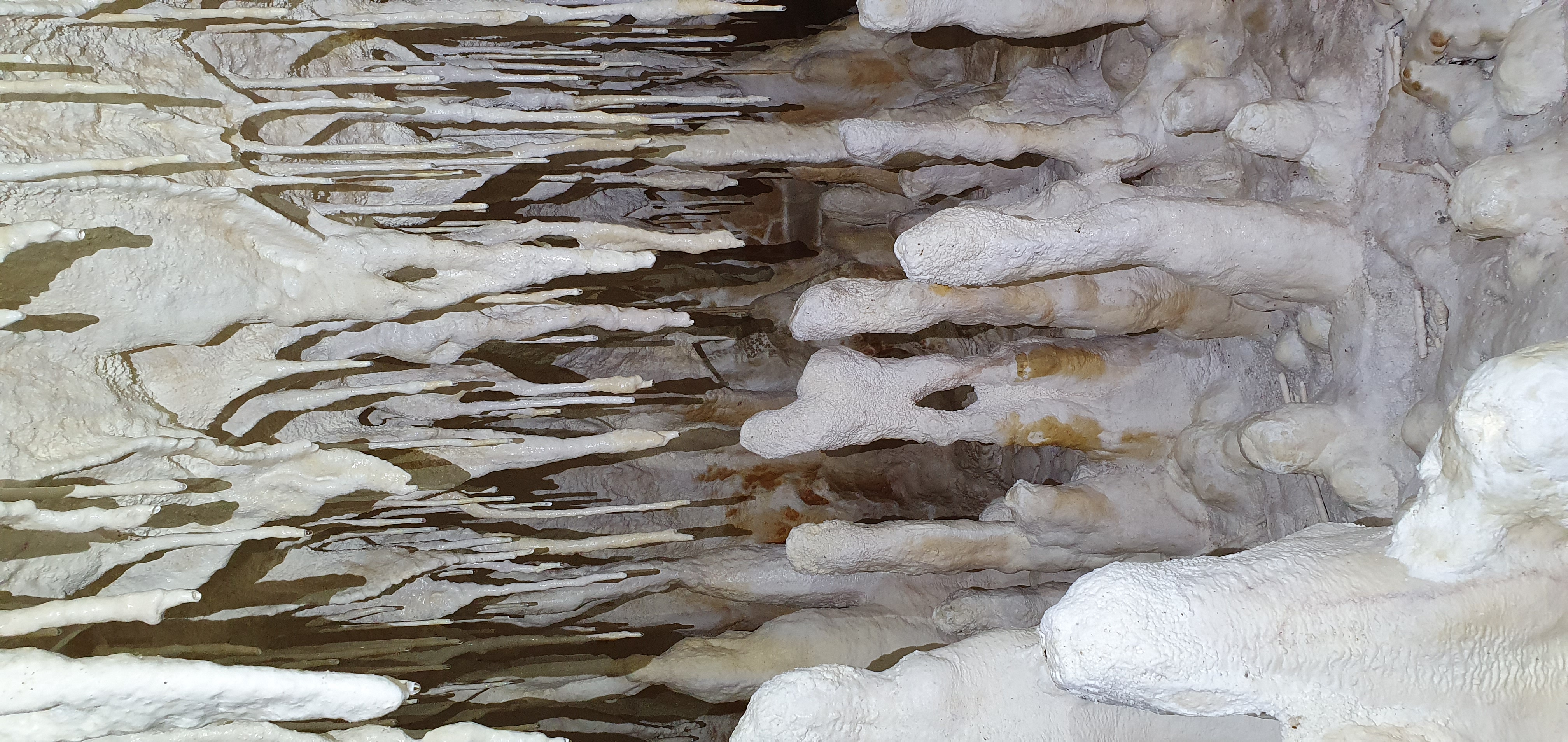 Peștera Bârlogul Lupilor - Image 2