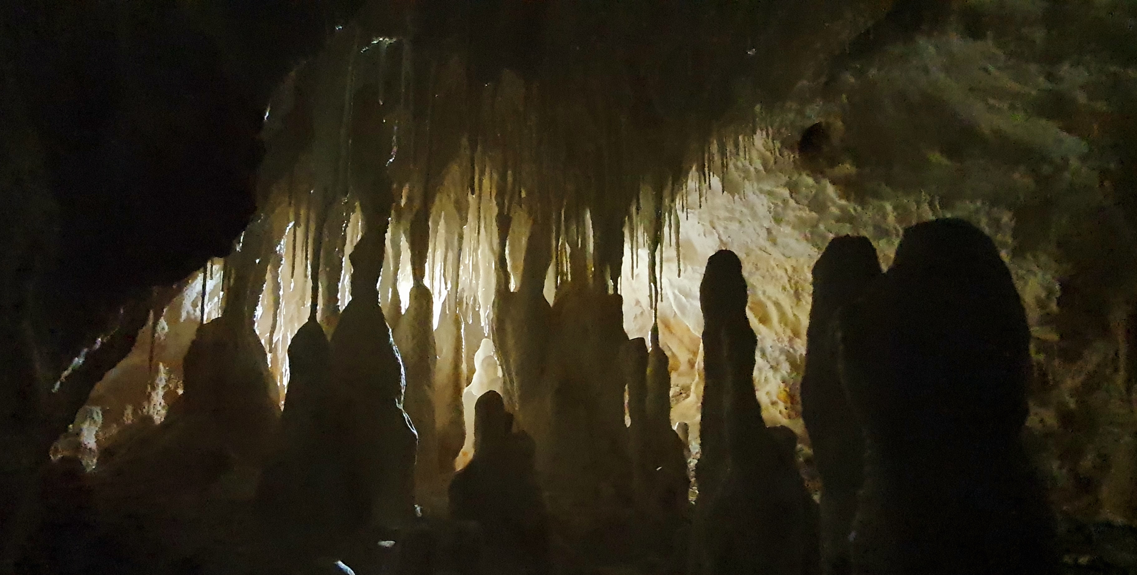 Peștera Bârlogul Lupilor - Image 4