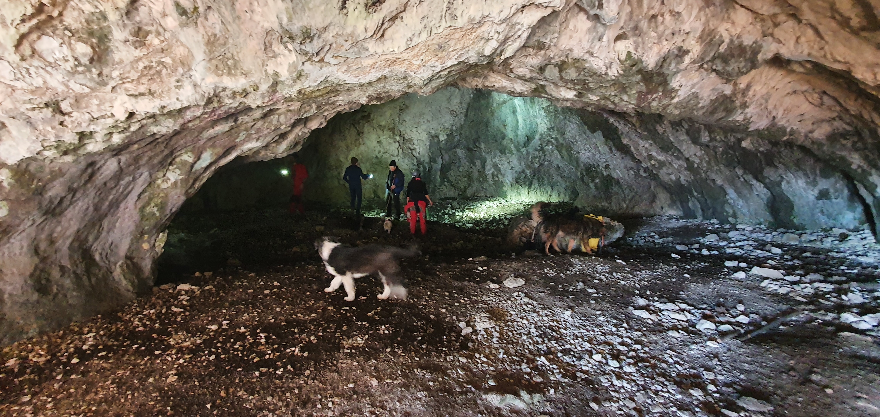 Peștera Caprelor - Image 4