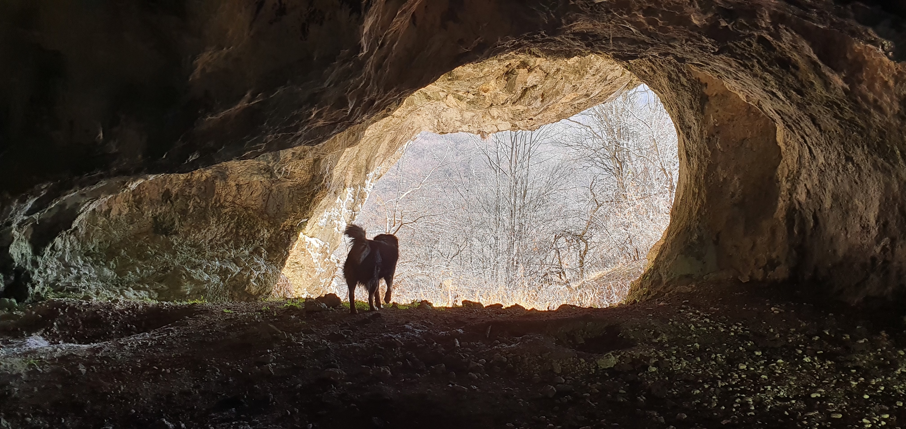 Peștera Caprelor - Image 2
