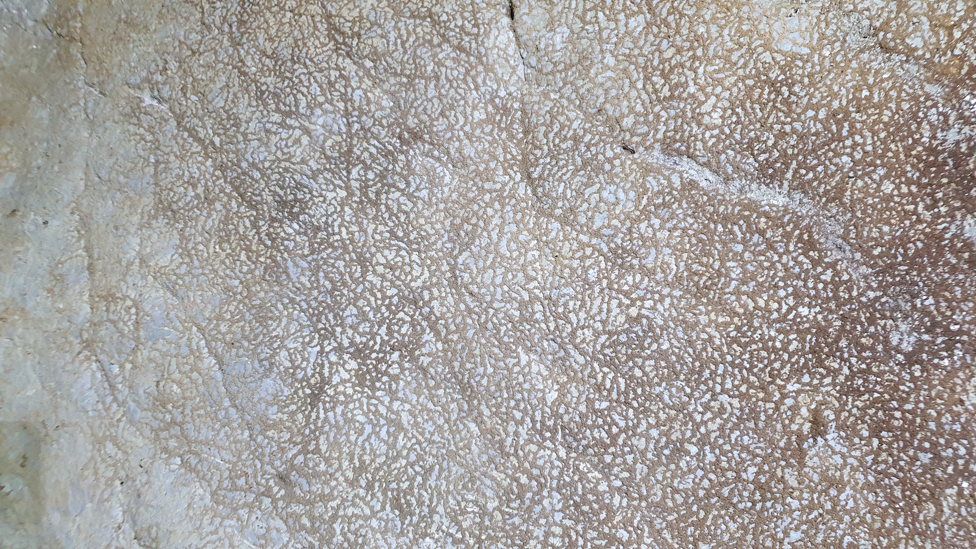 vermiculatii de tip piele de leopard