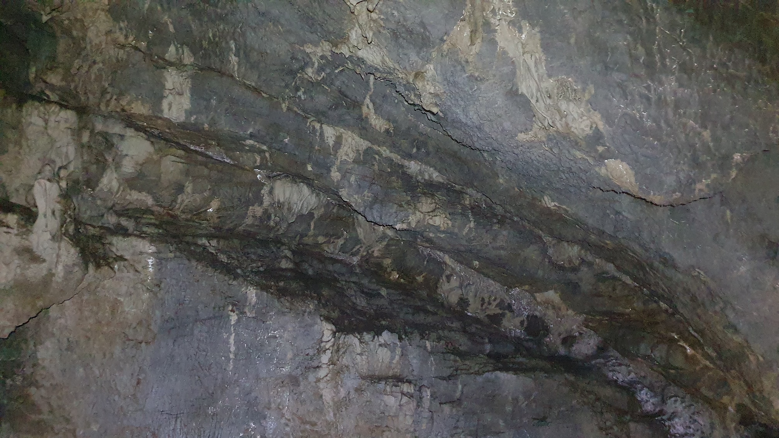 calcarela Jurasic superior, stratificate in bancuri groase