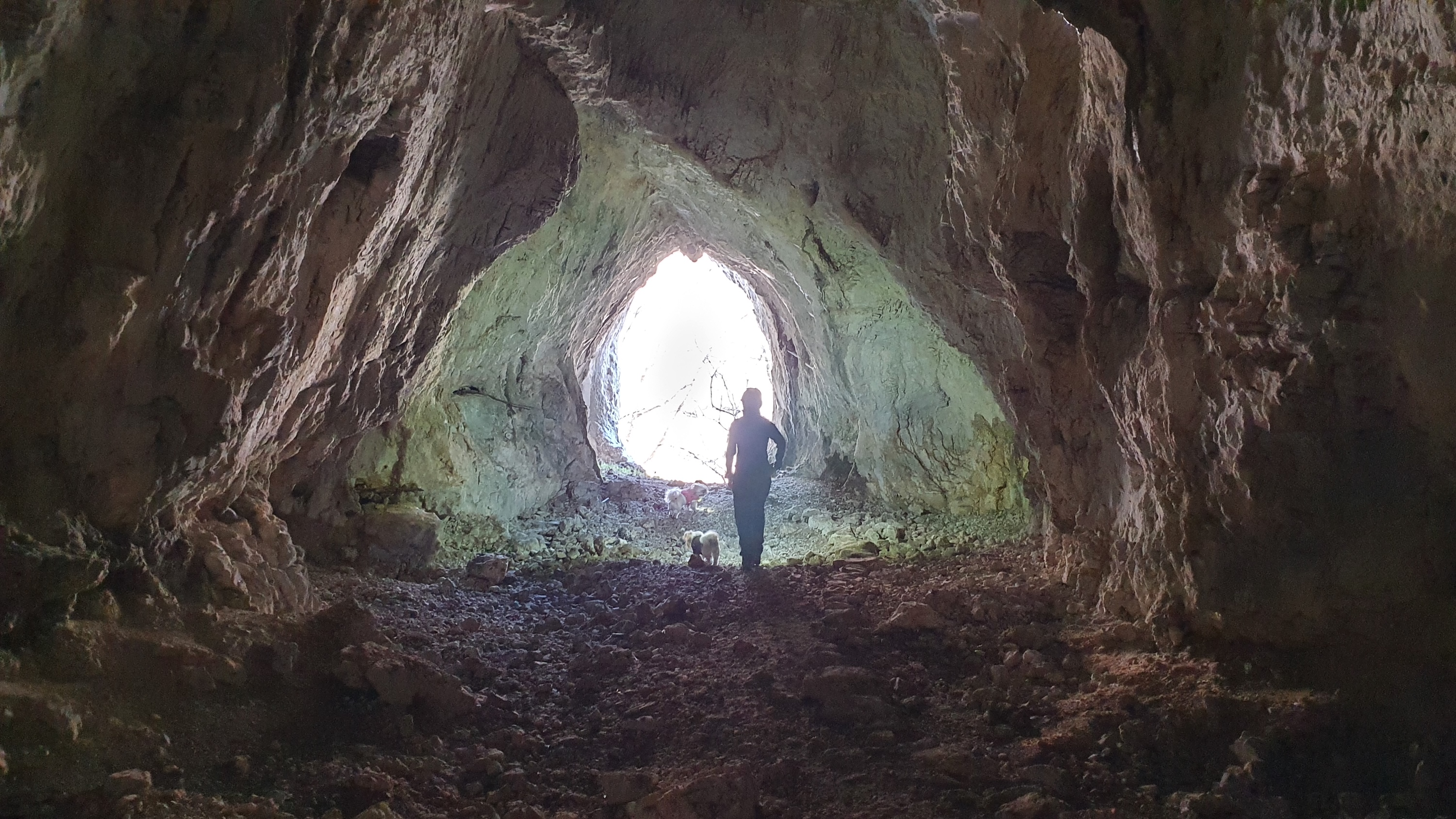 Intrare foto G. Dragomir