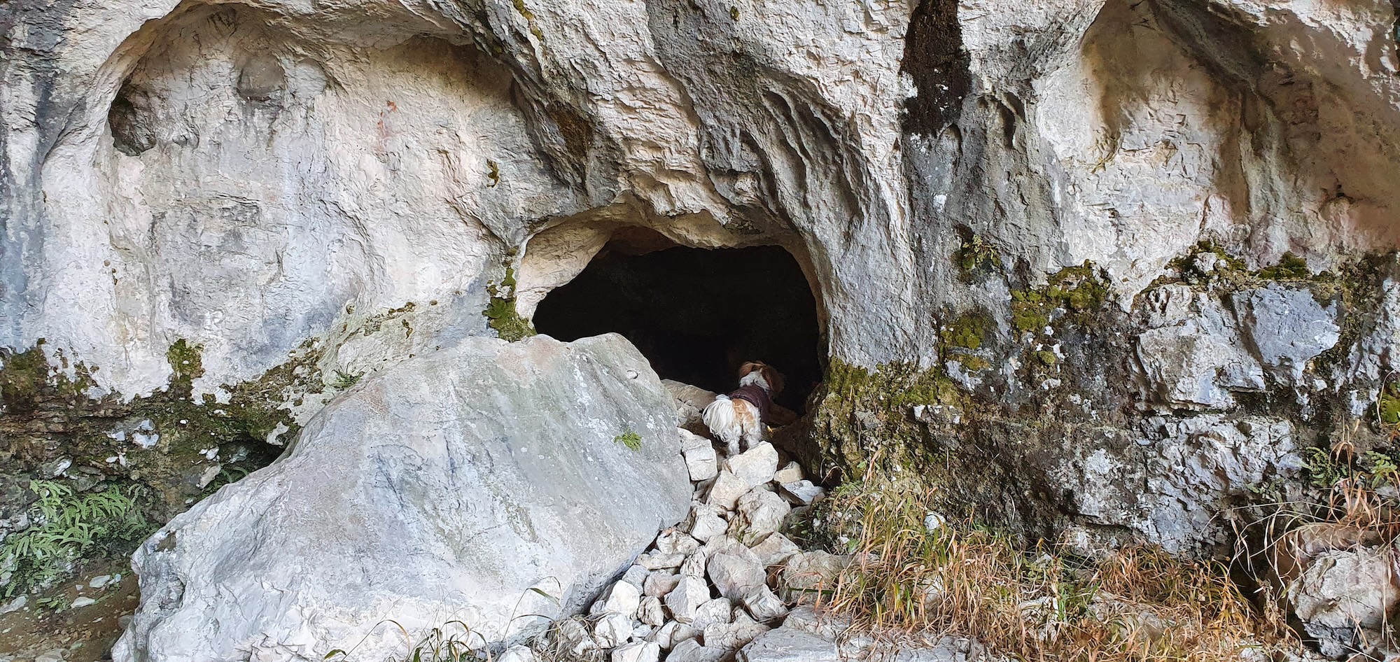 Peștera Nr. 2 din Cheile Oltețului - Image 1