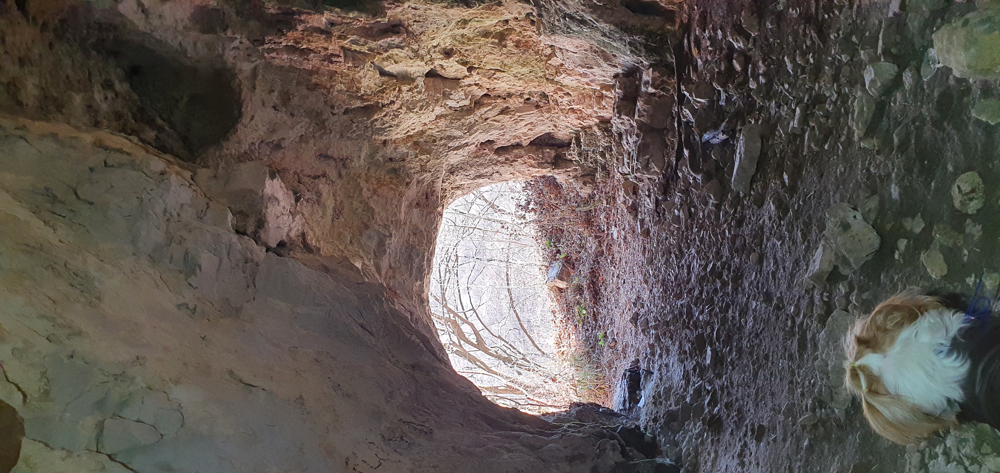 Peștera Nr. 2 din Cheile Oltețului - Image 2