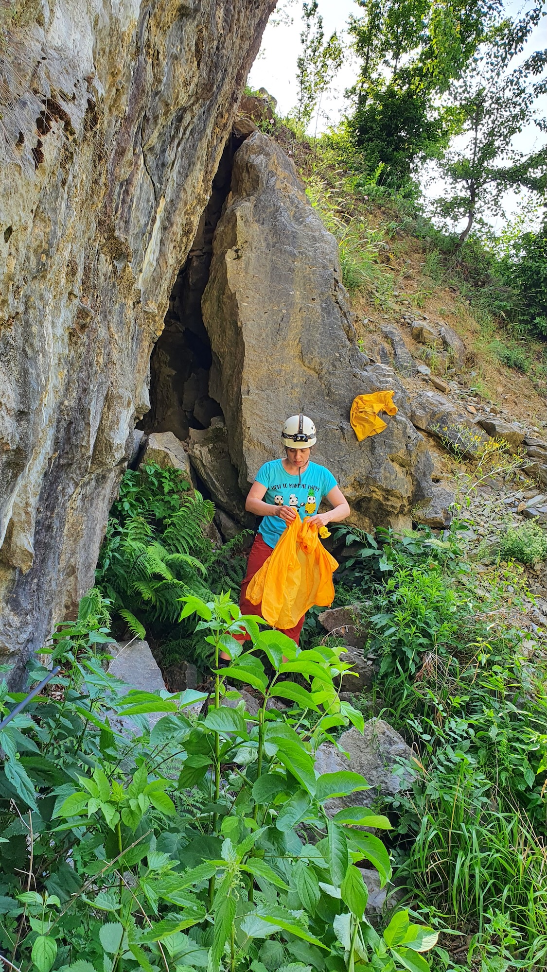 Intrare foto G. Dragomir