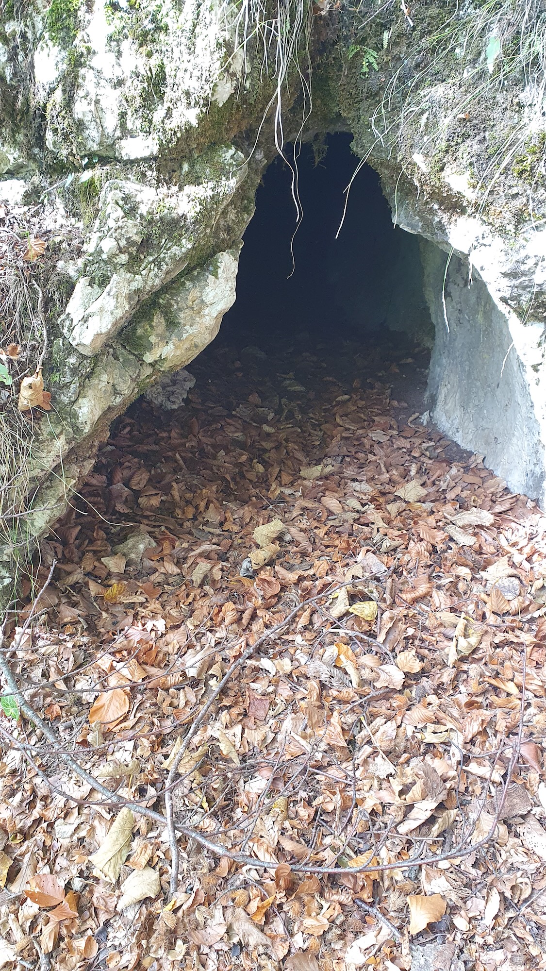 Intrare foto G. Dragomir