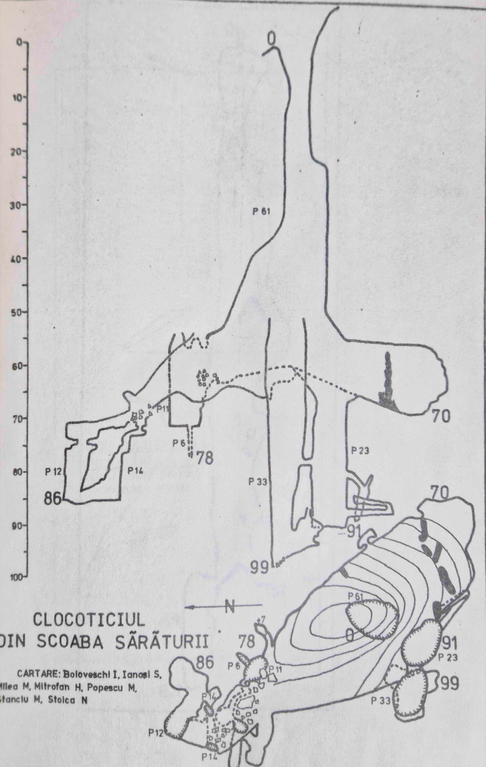 Clocoticiul din Scoaba Sărăturii - Image 1