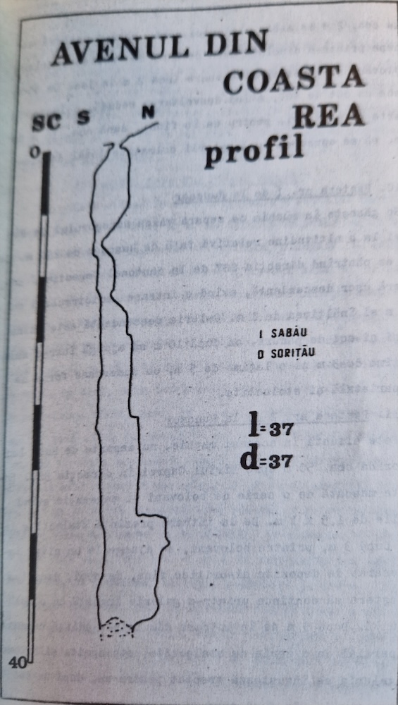 Avenul din Coasta Rea - Image 1