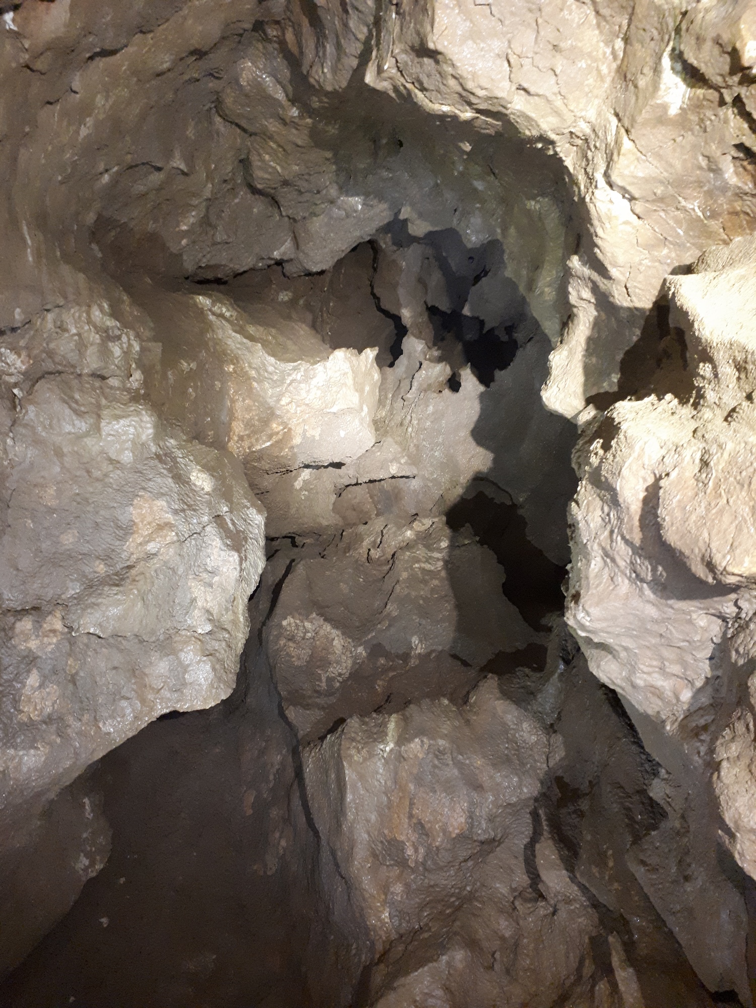 Avenul Bârnoaia (Gaura Bârnoaiei) - Image 10