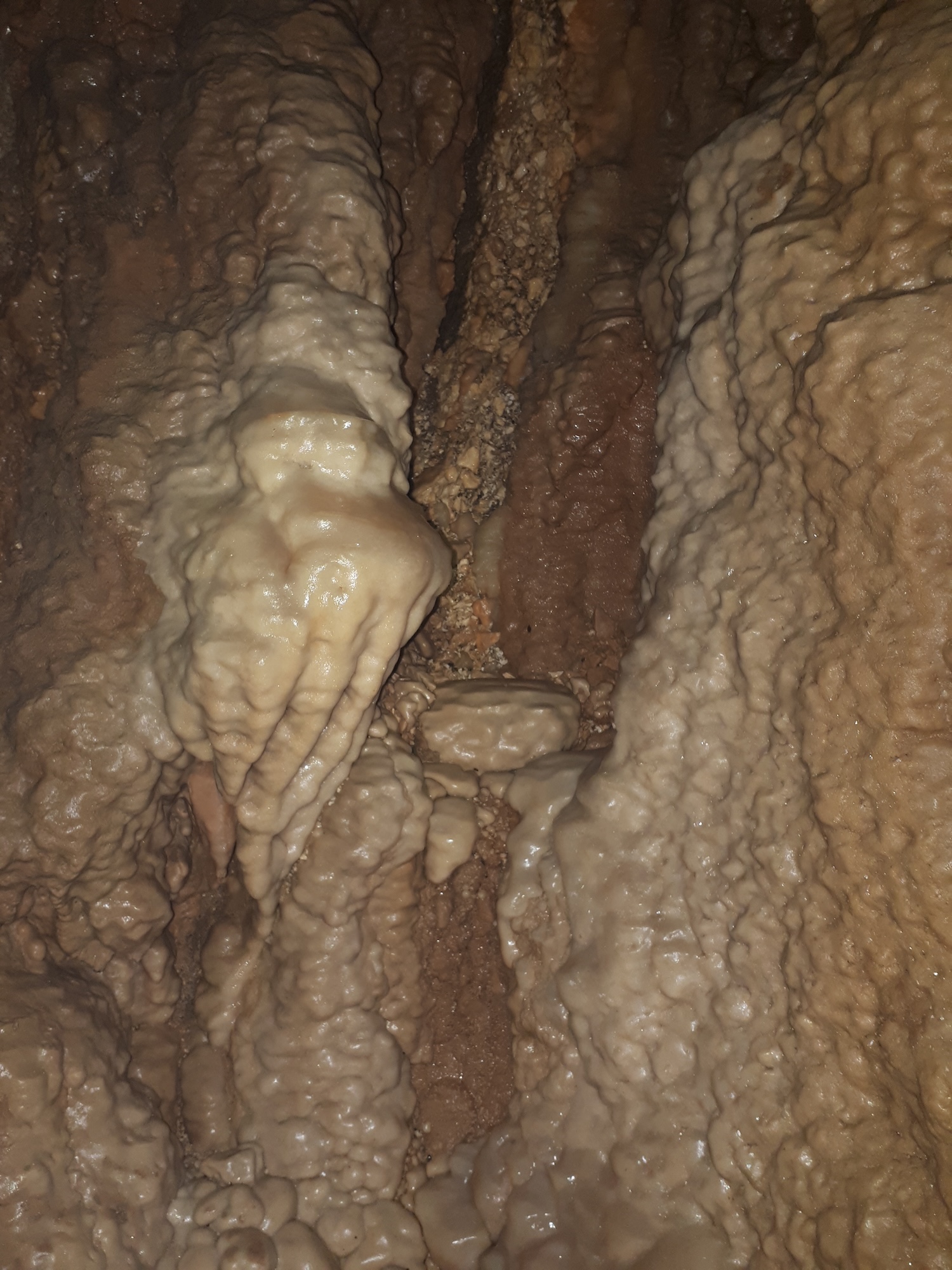 Avenul Bârnoaia (Gaura Bârnoaiei) - Image 13