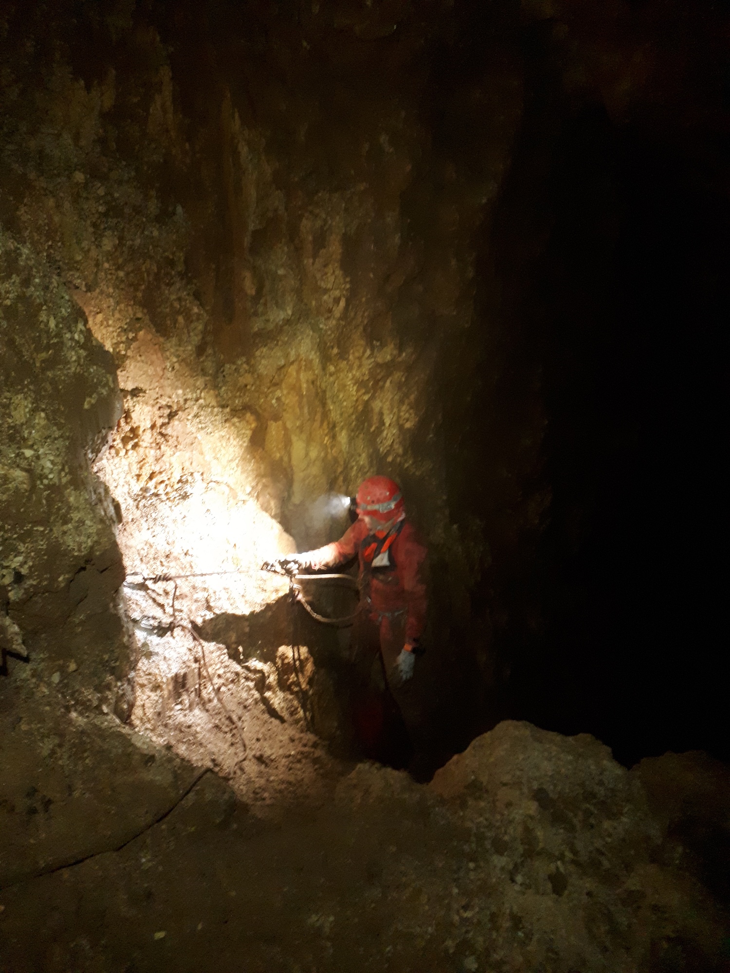 Avenul Bârnoaia (Gaura Bârnoaiei) - Image 15