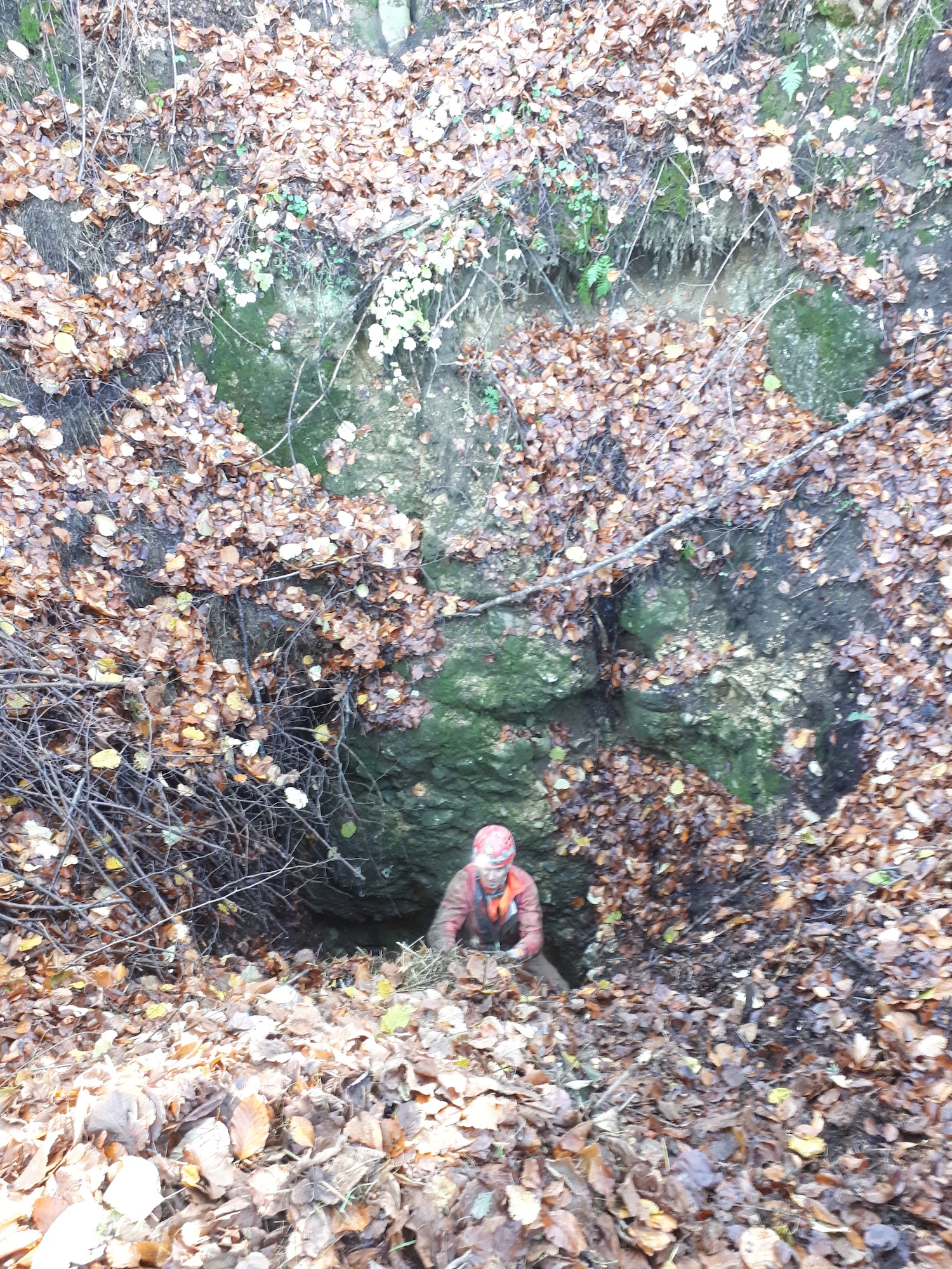 Avenul Bârnoaia (Gaura Bârnoaiei) - Image 16