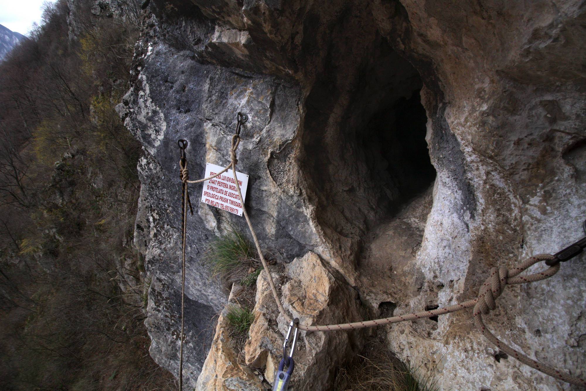 Intrarea pe fereastra doar naturala betonata gros 