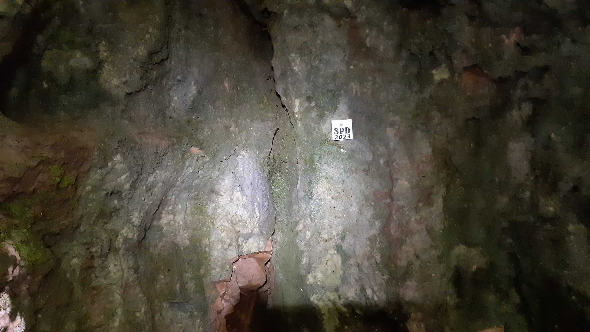 Peștera Fütyi (Peștera lui Mimi) - Sursa: Facebook - Királyerdő Barlangjai