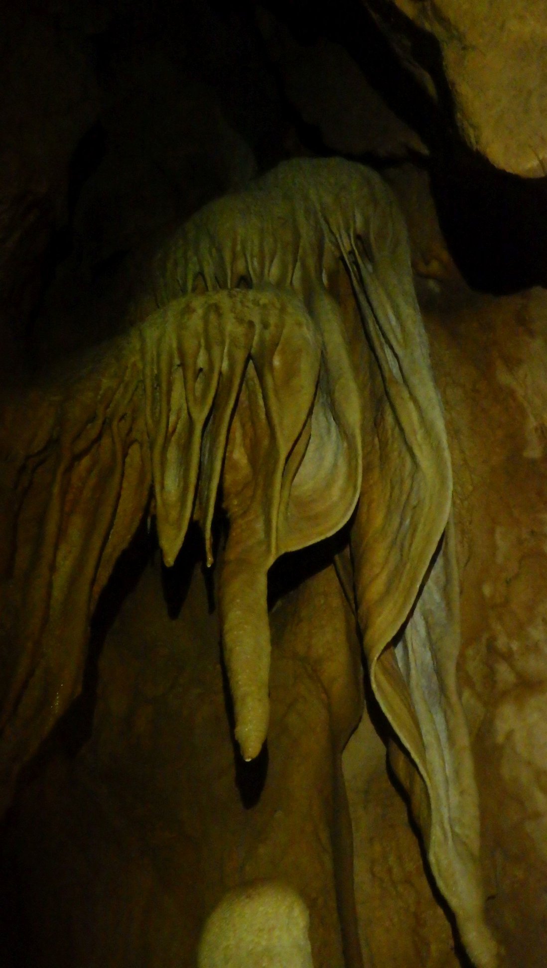 Peştera Turelem din Cheile Cuţilor - Image 3