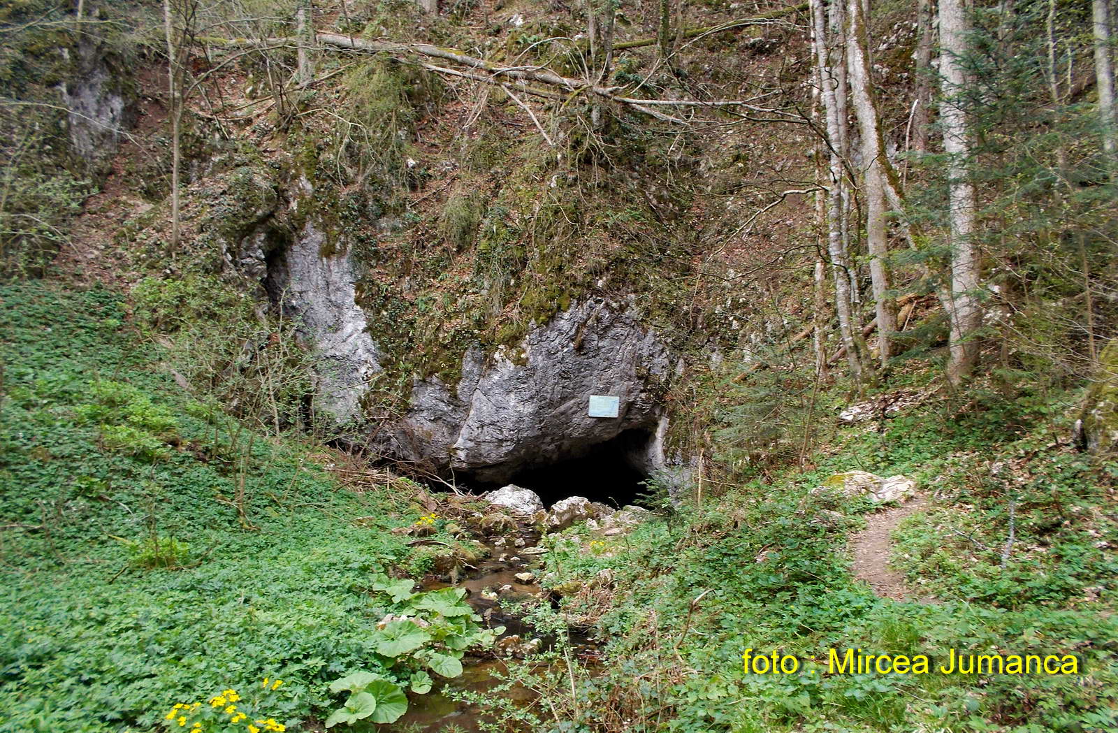 Peștera Buhui - Foto: Mircea Jumanca