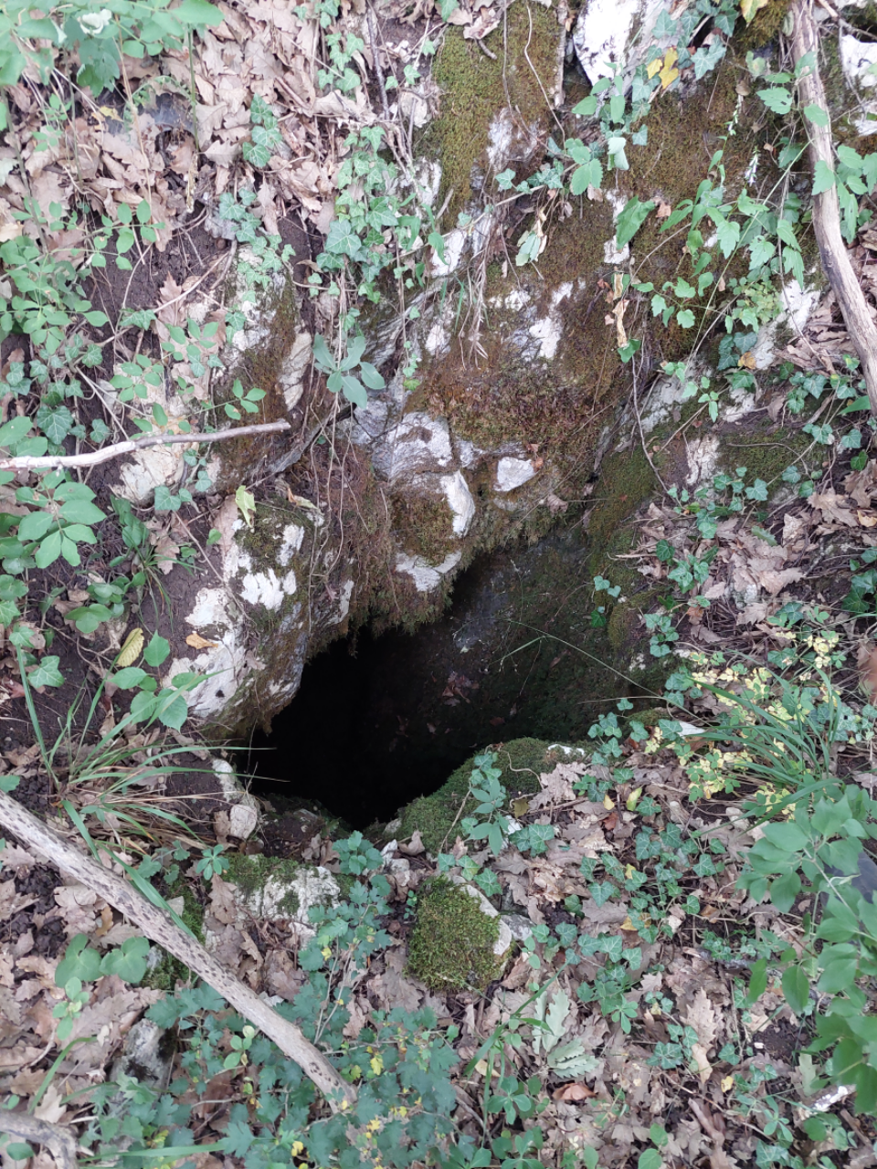 Avenul Frumos - Intrare - foto: Ghita Iancu