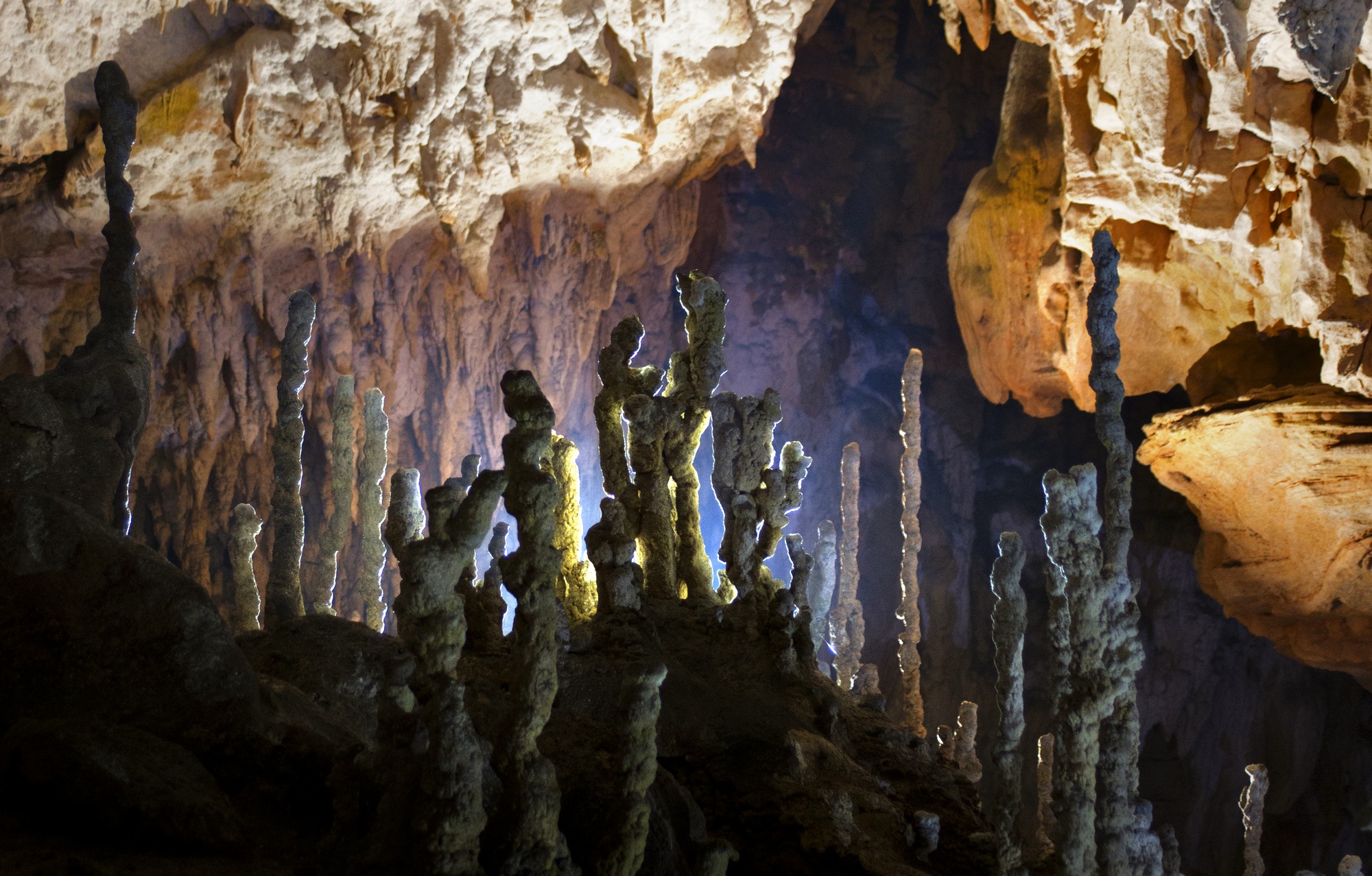 Avenul dintre Brânduşe - foto: Octavian Stanescu