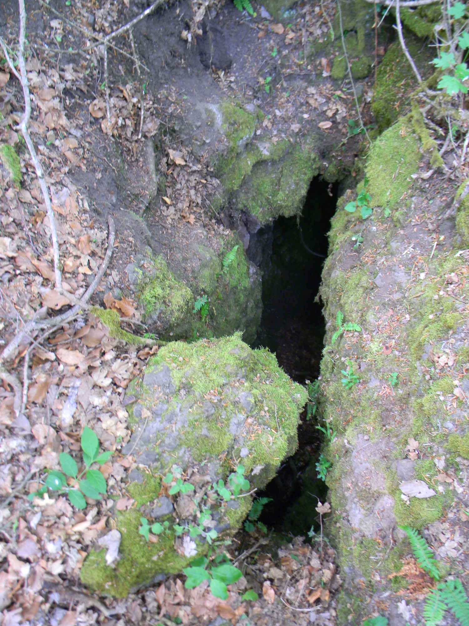 Avenul II din Hotarul Păiuşenilor (Peștera cu Aburi) - Image 1