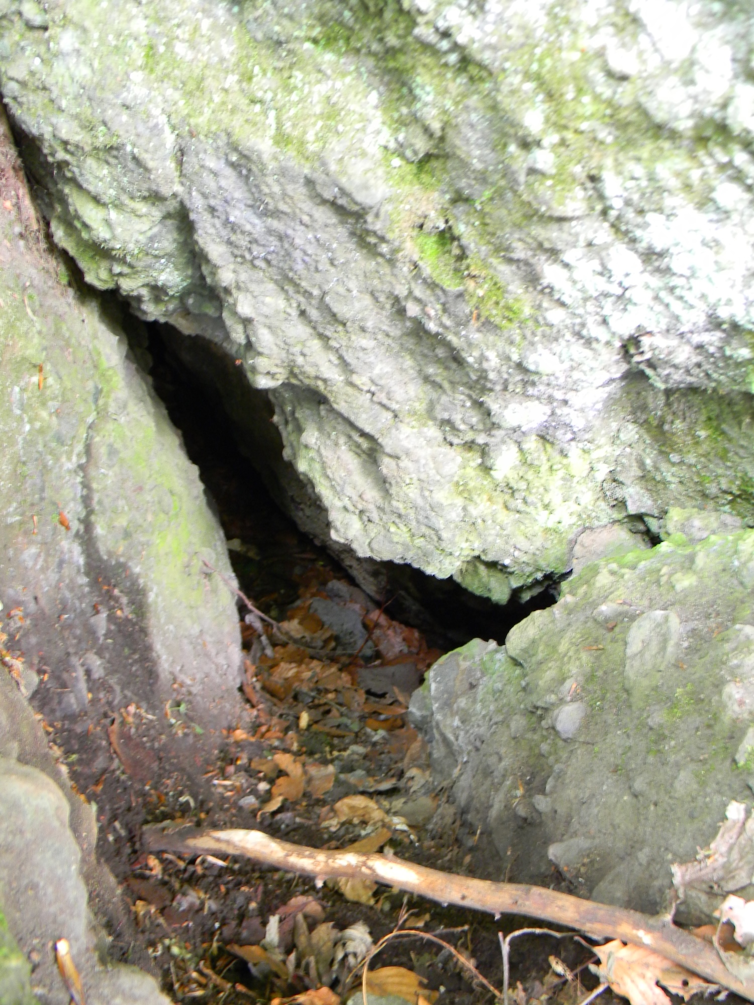 Peștera de sub Vârful Pleșa - Image 1