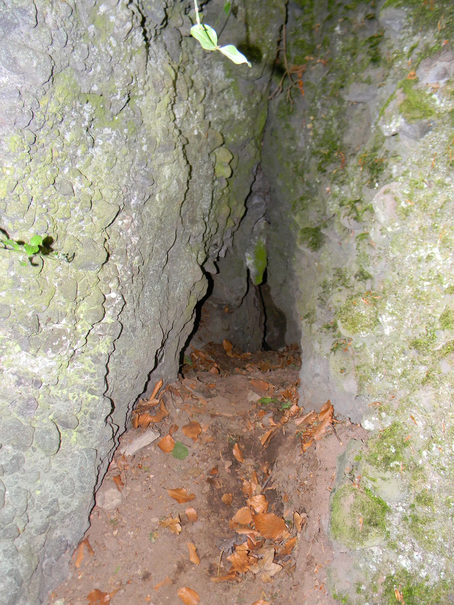 Peștera de sub Vârful Pleșa - Image 2