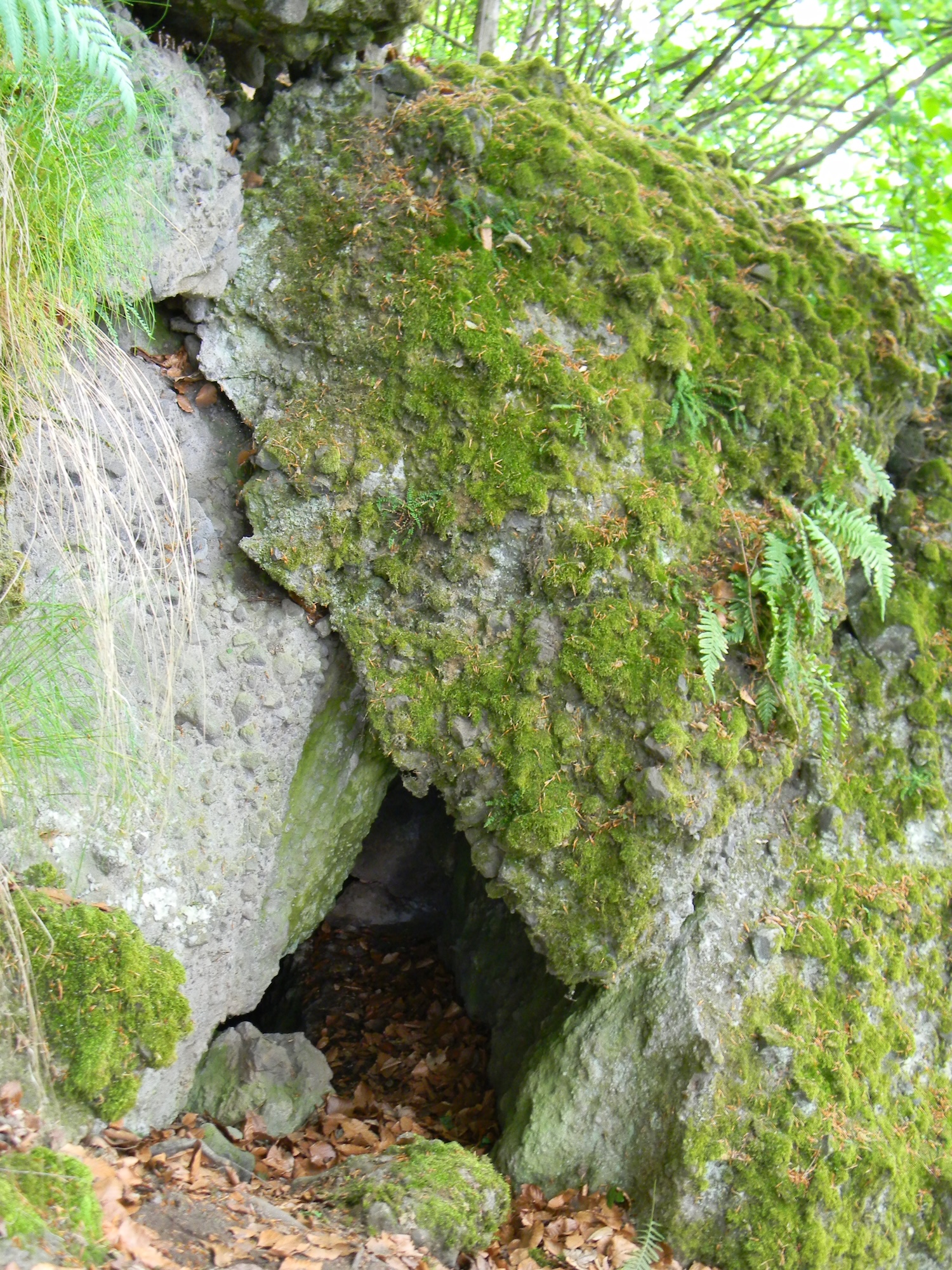 Peștera de sub Vârful Pleșa - Image 3