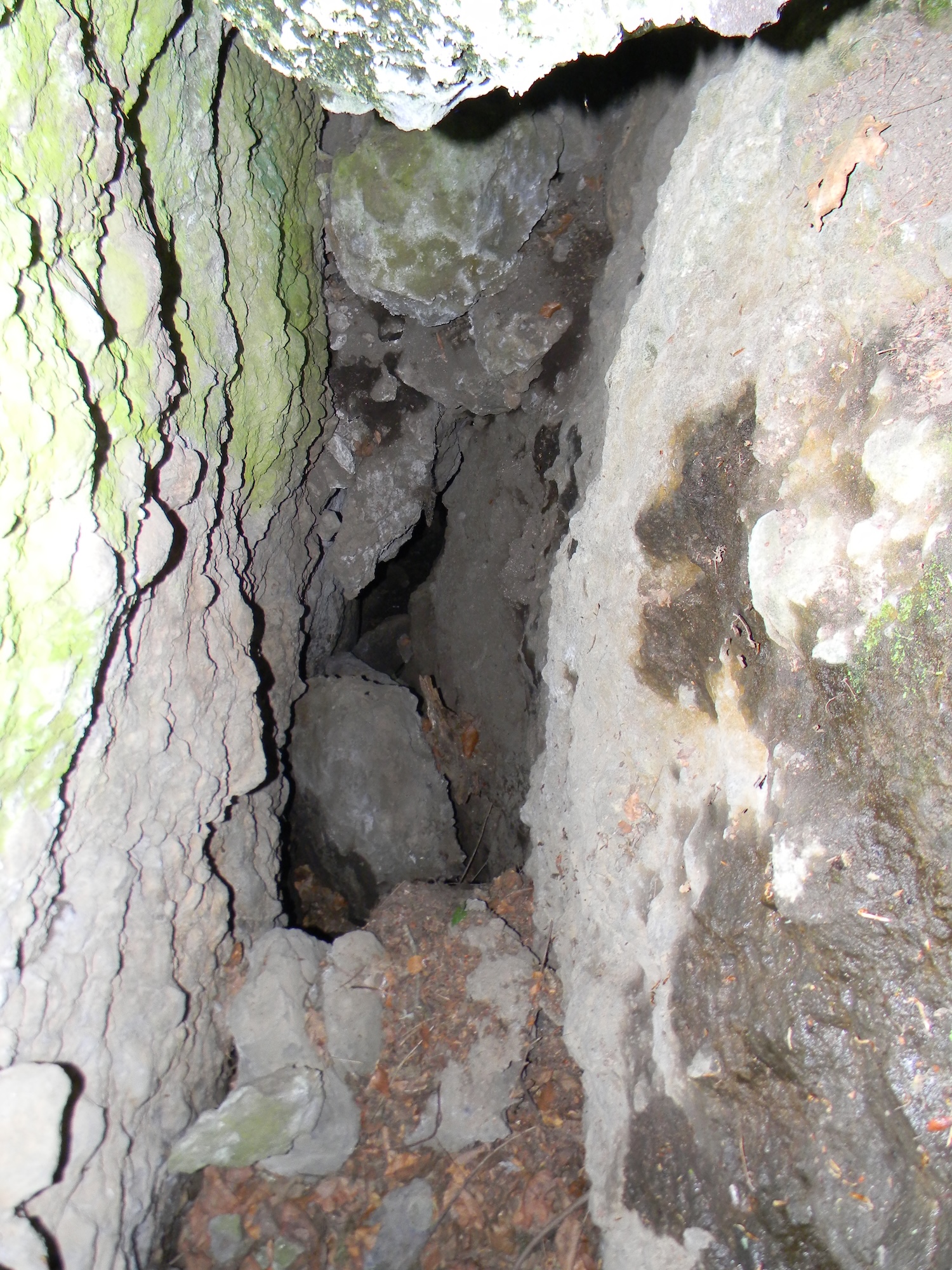 Peștera cu Pod - Image 2