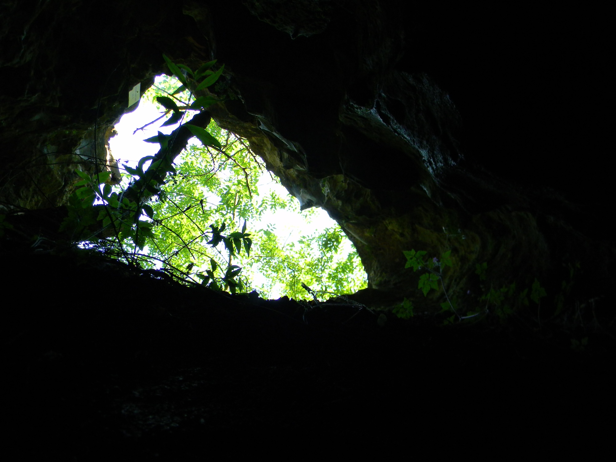 Grota din Cariera Veche - Foto: Mihai Besesek