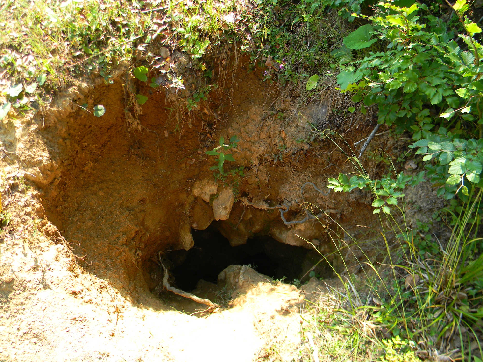 Avenul Roata de Taf - Image 1