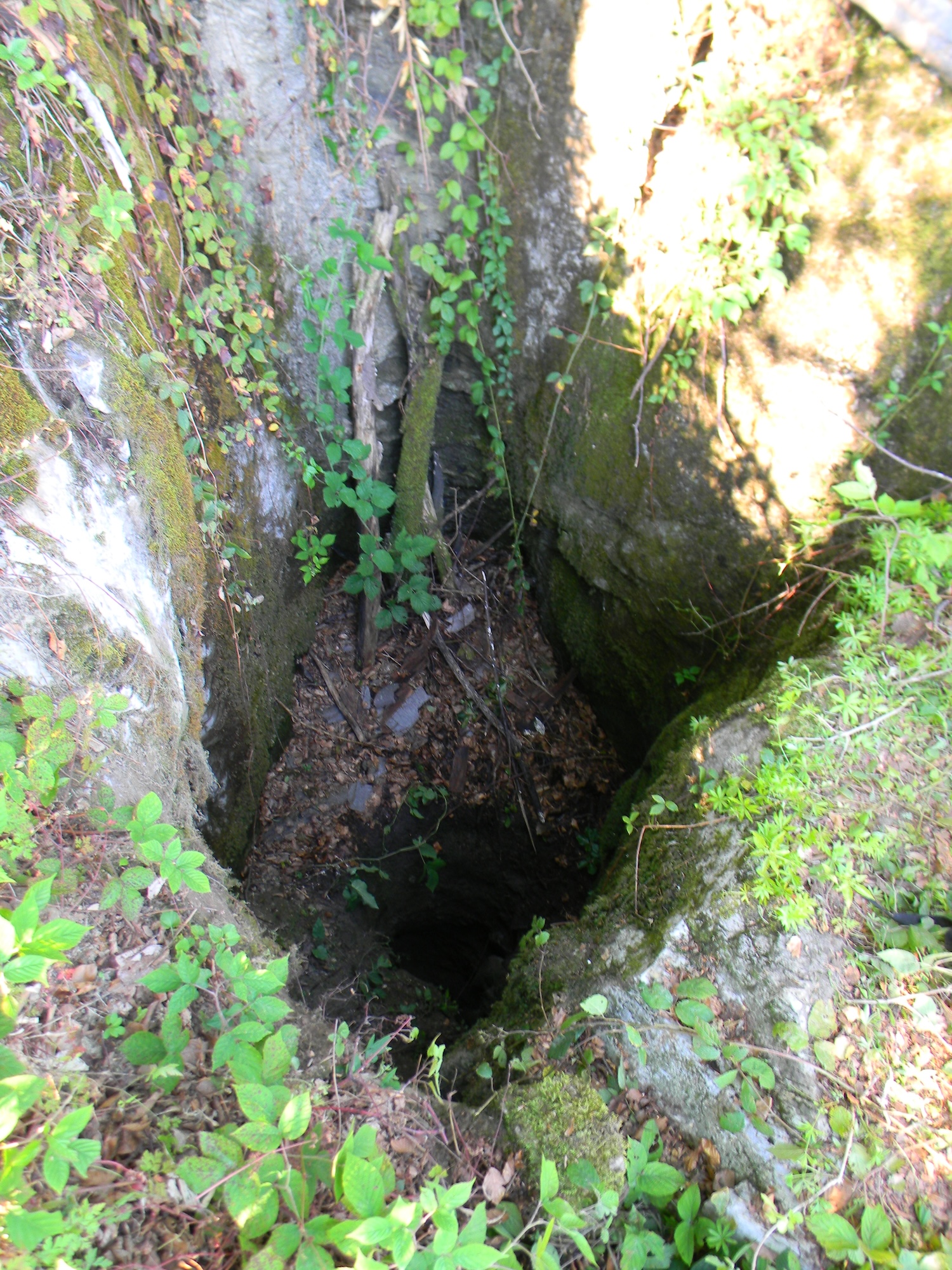 Avenul din Dâmbul Chicerii - Image 1