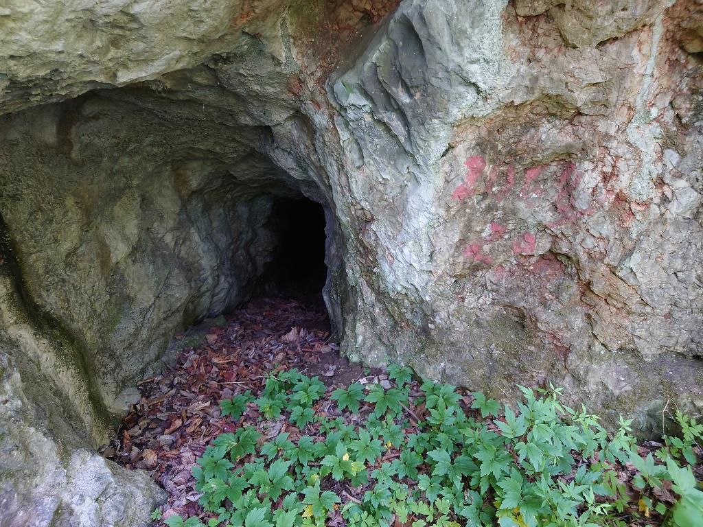 Peștera Înclinată de lângă Apa Băniței - Image 1