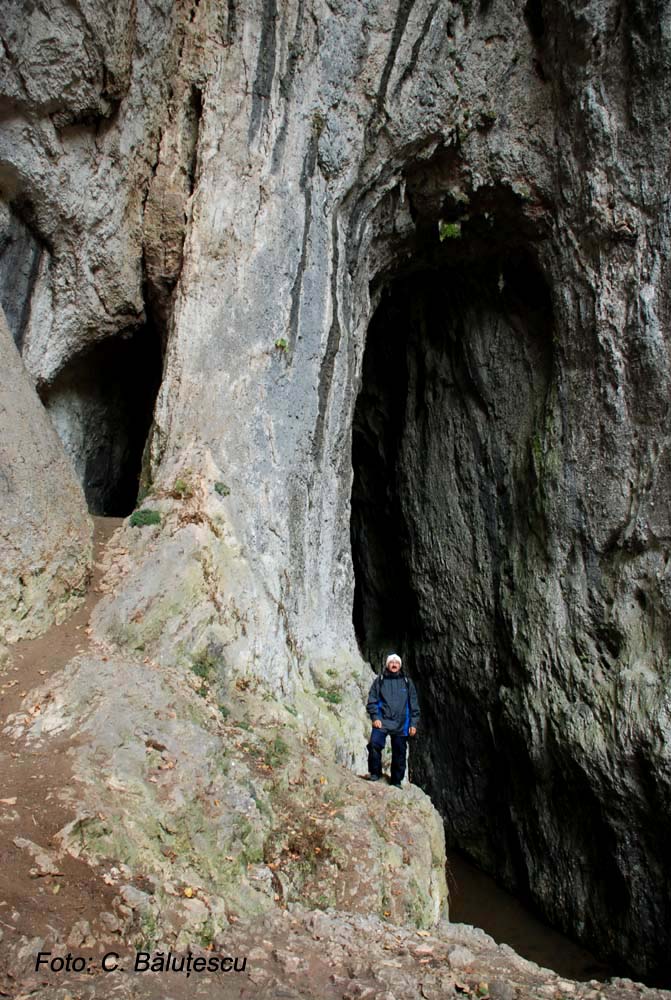 Portal Peștera Cocolbea (Șura Mică) - Foto: Cami Băluțescu