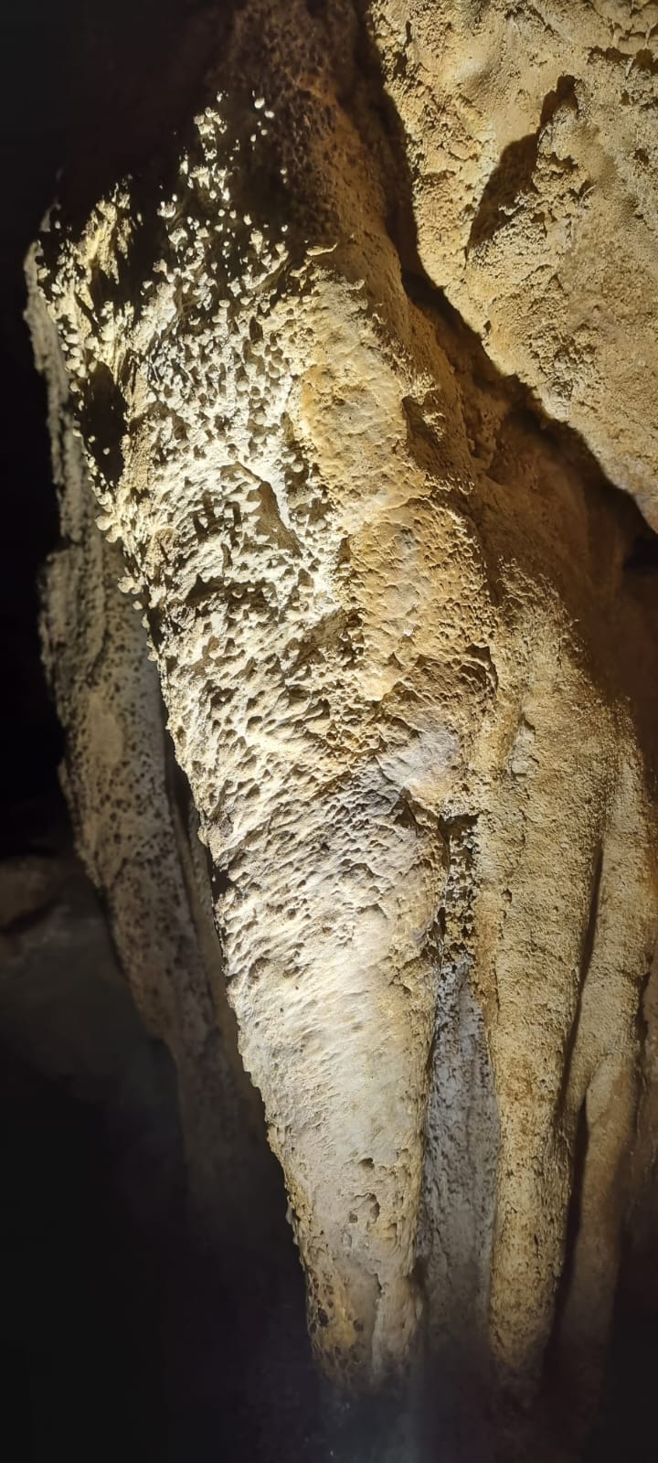 Peștera din Cioaca cu Apă - Image 5