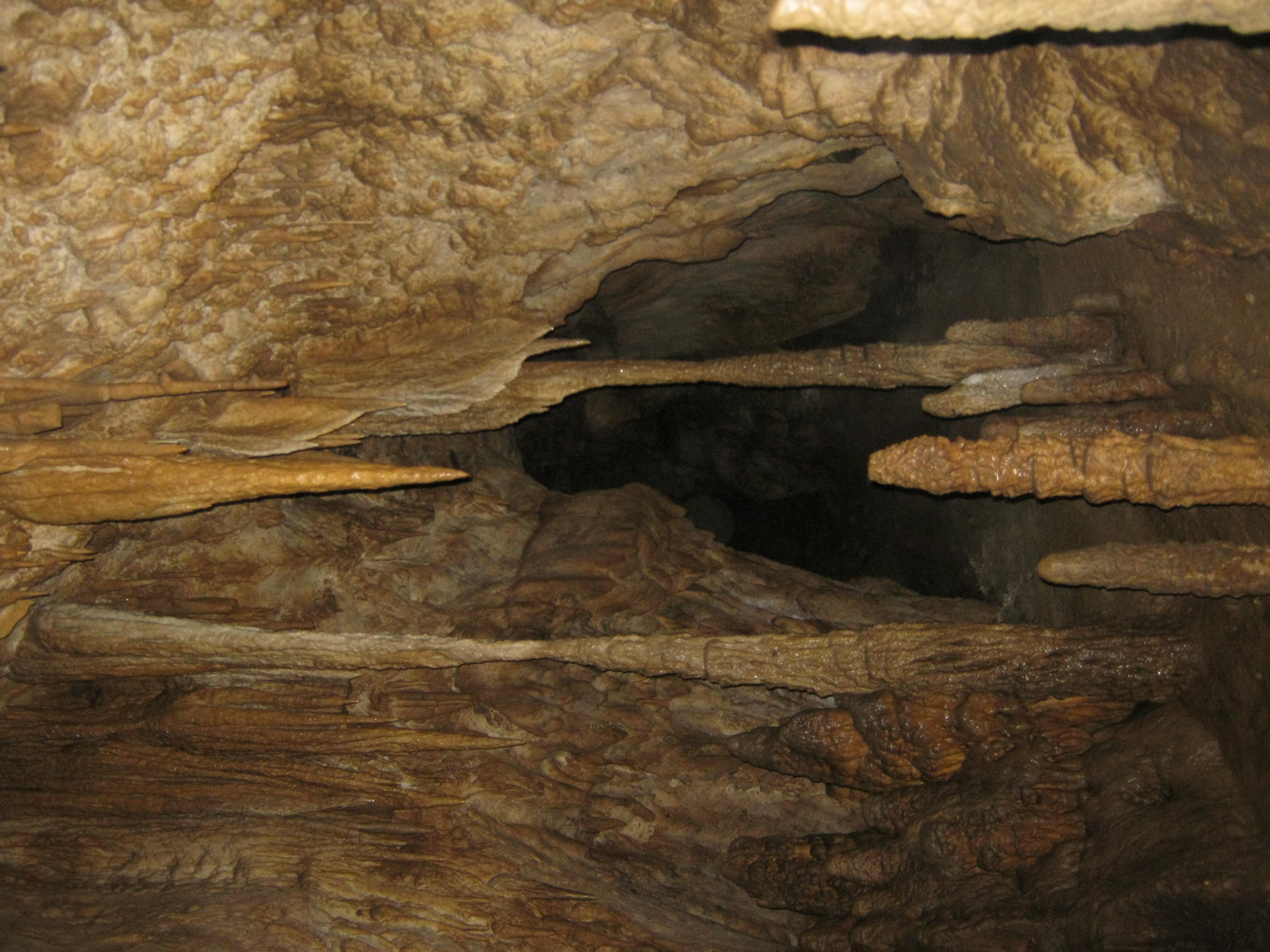 Ratei. Foto: Lidia Dragomir