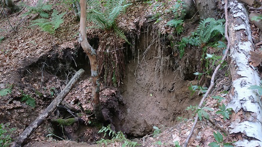 Avenul Pereți - Image 1