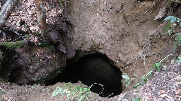 Avenul Pereți - Image 2