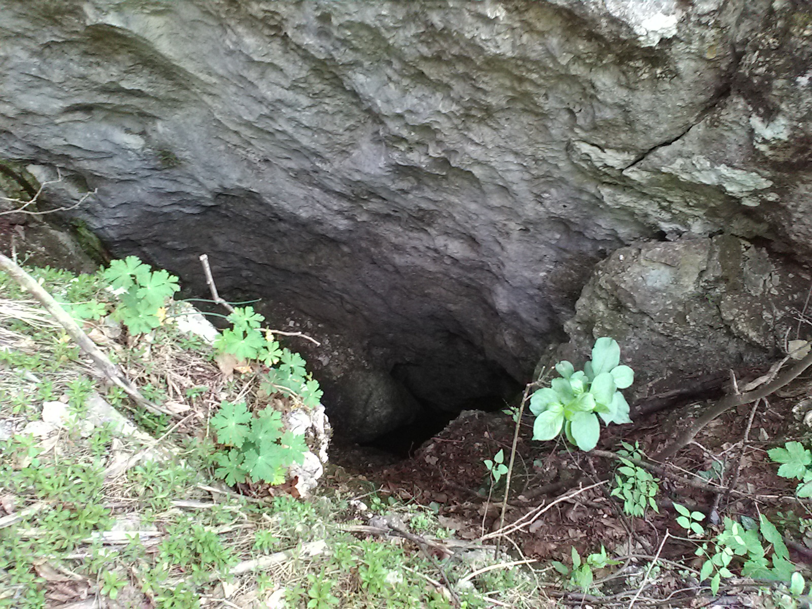 Poza intrare, foto G. Dragomir