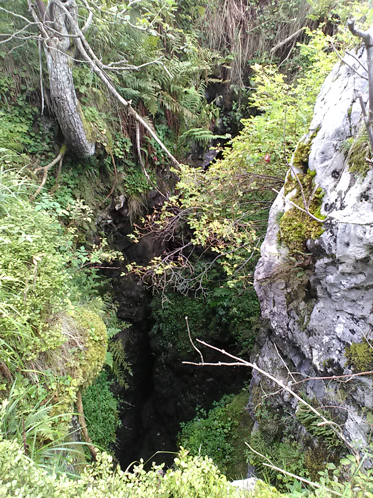 Stana Tomii intrarea, foto G. Dragomir