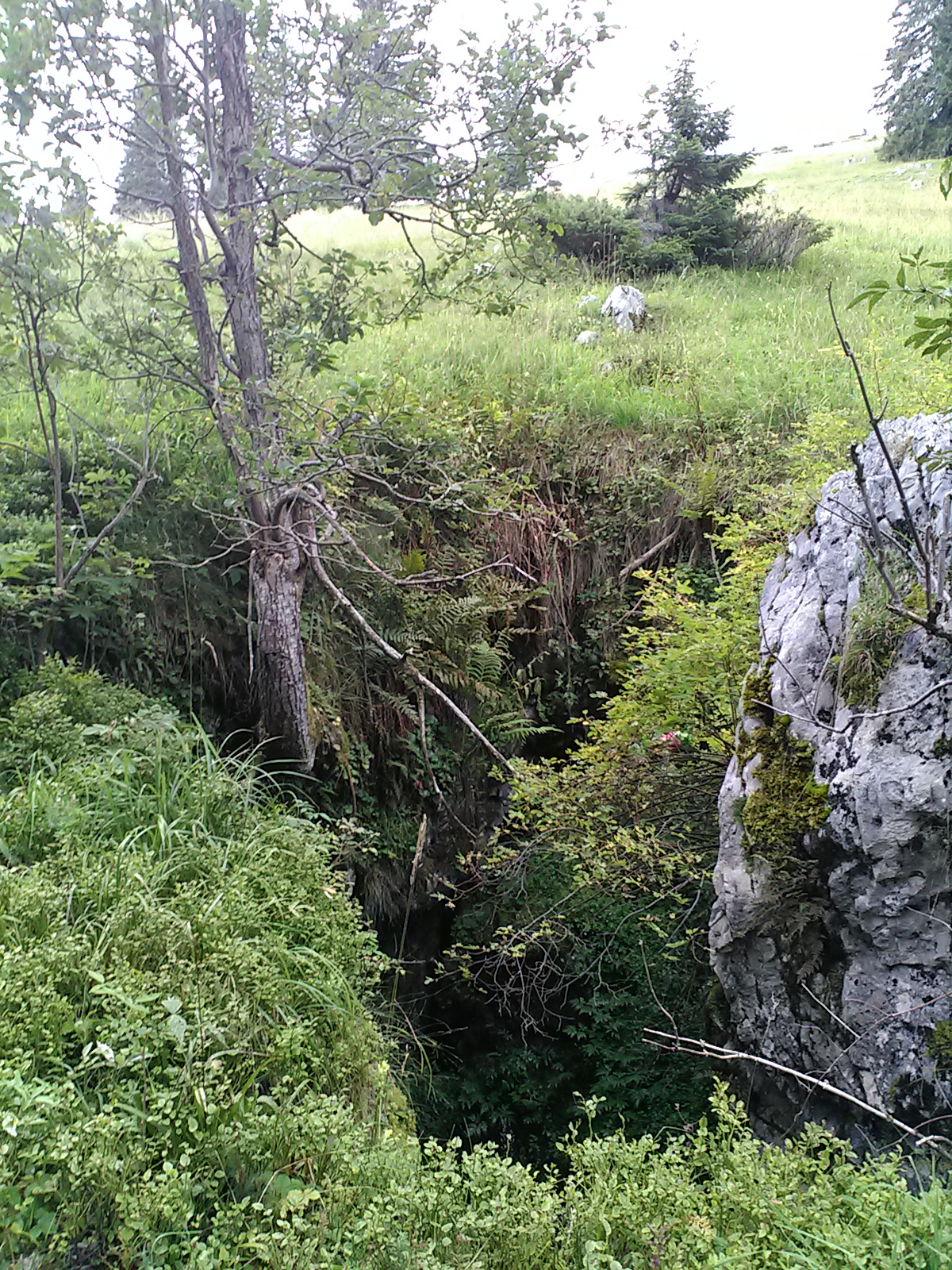 Stana Tomii intrarea, foto G. Dragomir