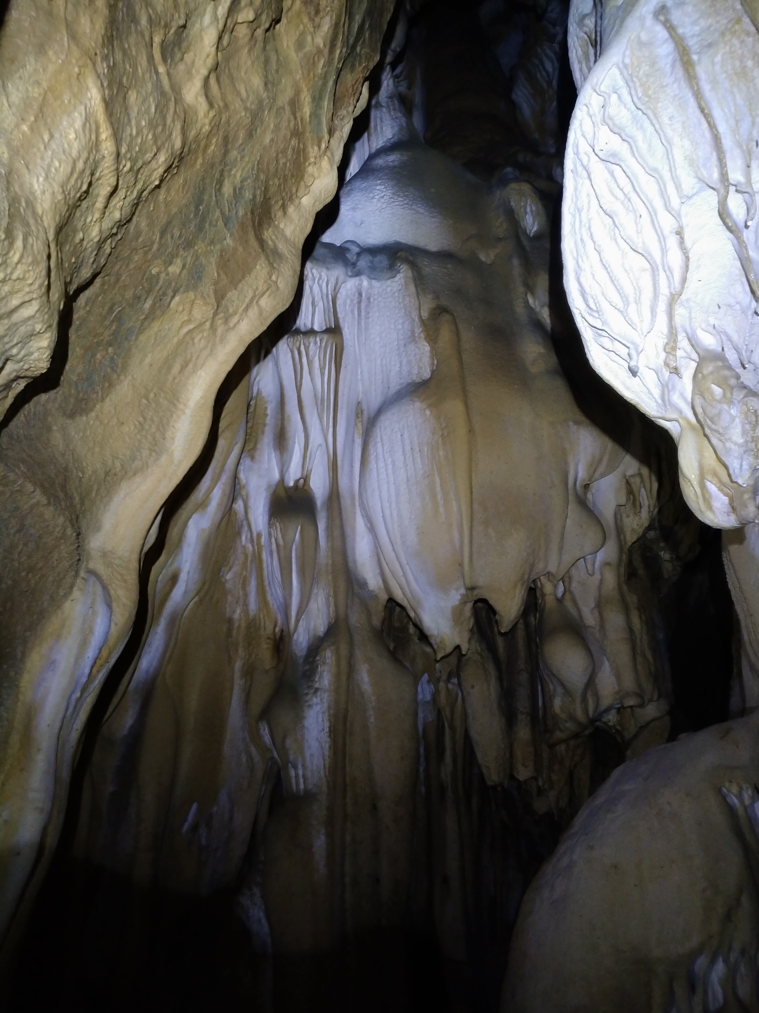 Peştera Lenuţa de la Trei Cleanţuri - Image 5